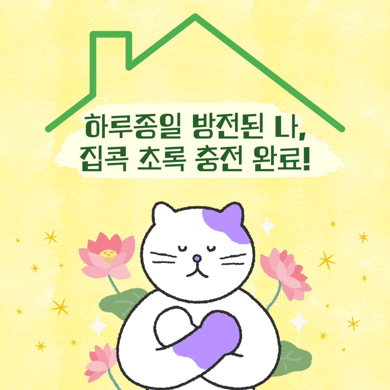 집돌이,집순이를 위한 꿀잼 취미생활