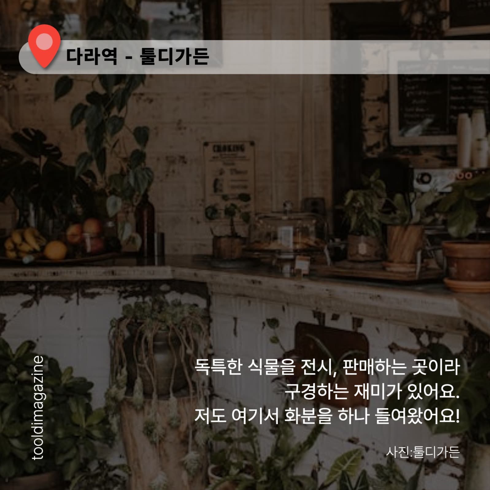 카페 추천 