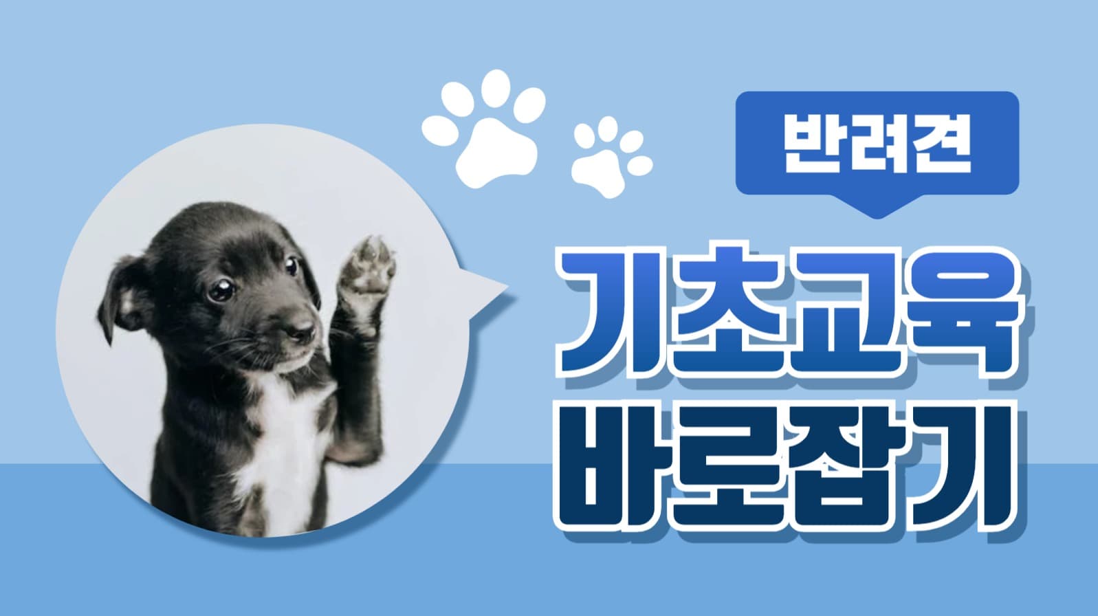 반려견 교육 유튜브 썸네일