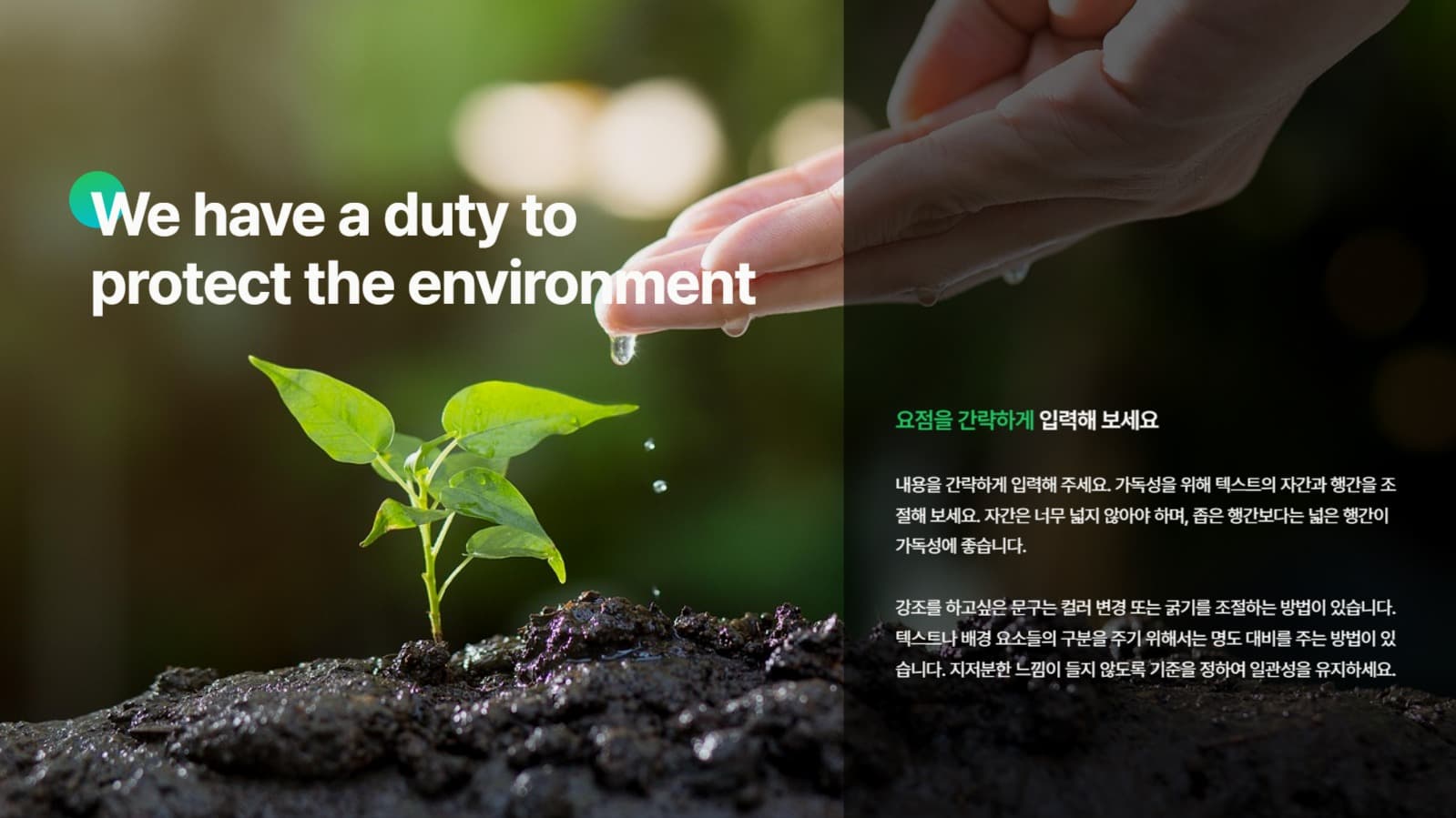 활용도가 높은 숲 PPT 템플릿