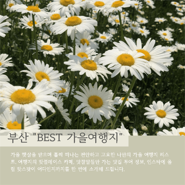 부산 best 가을여행지를 소개합니다