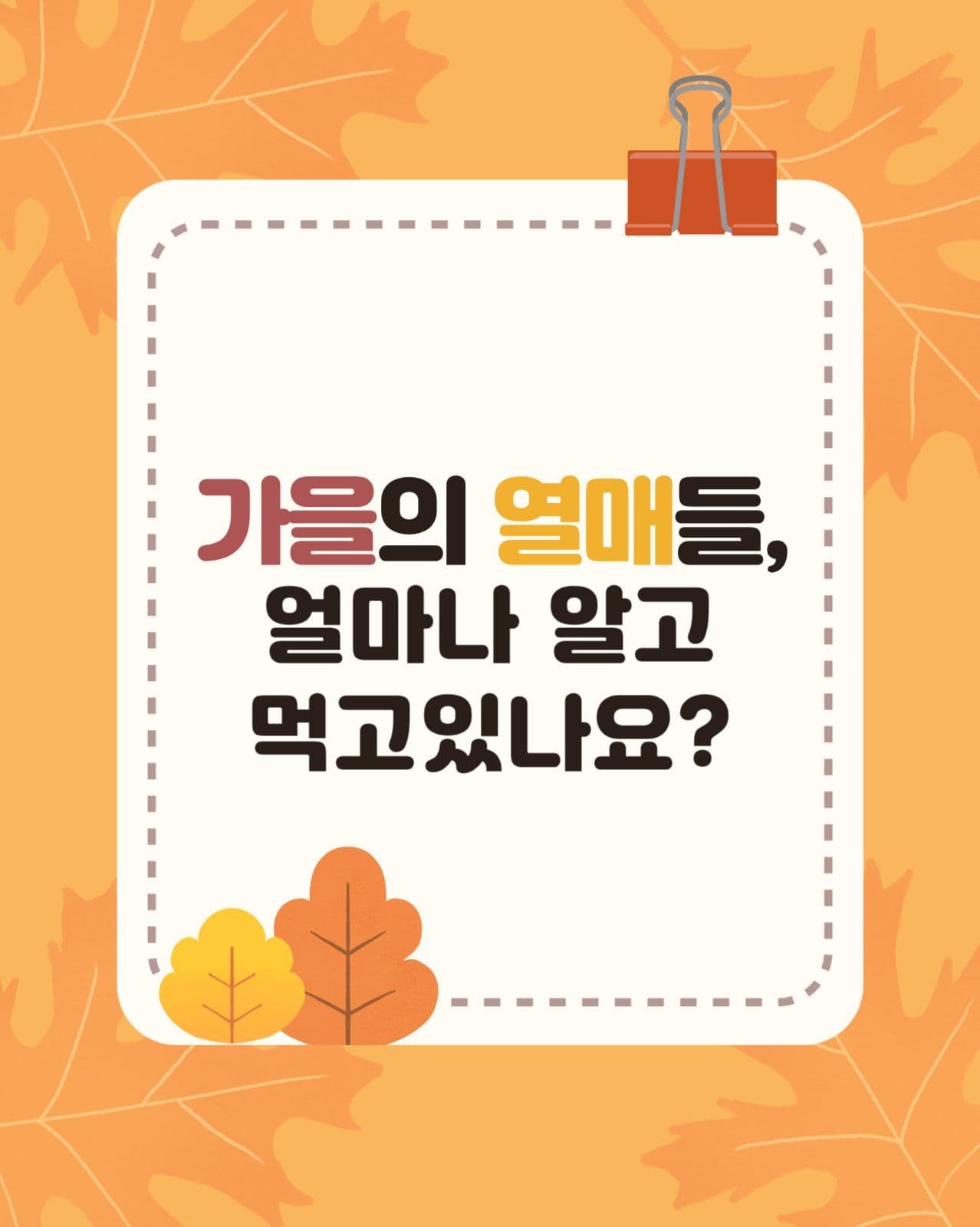 가을 먹거리 카드뉴스
