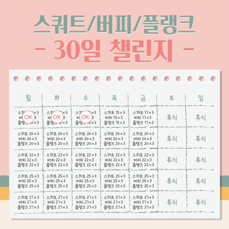 스쿼트 버피 플랭크 30일 챌린지