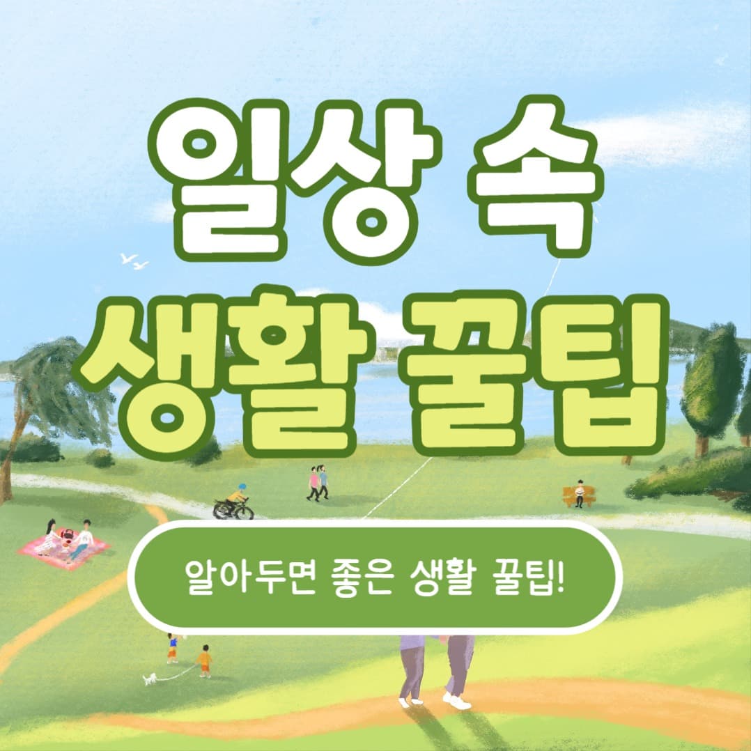 일상 속 생활 꿀팁 (인스타)