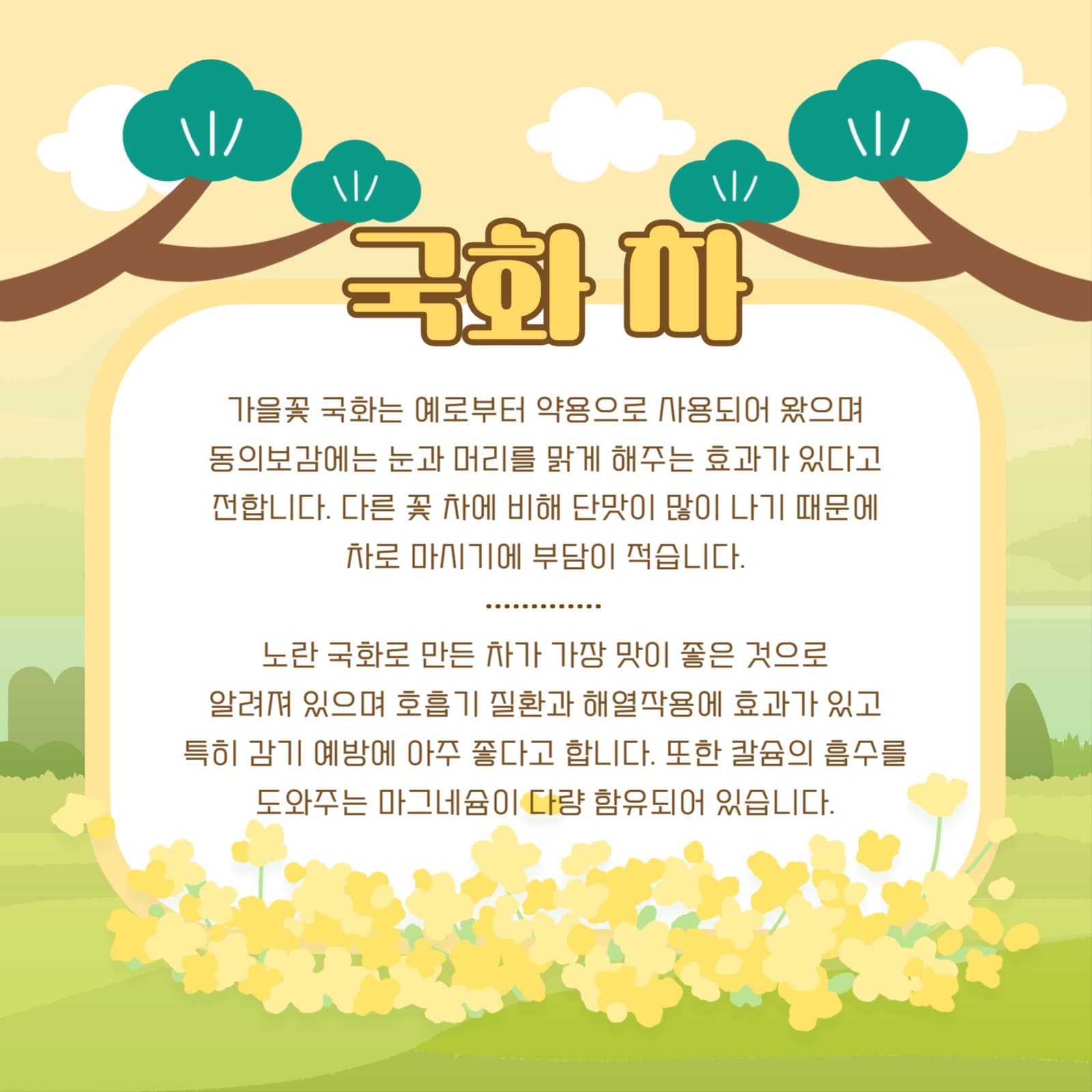 꽃 차의 효능