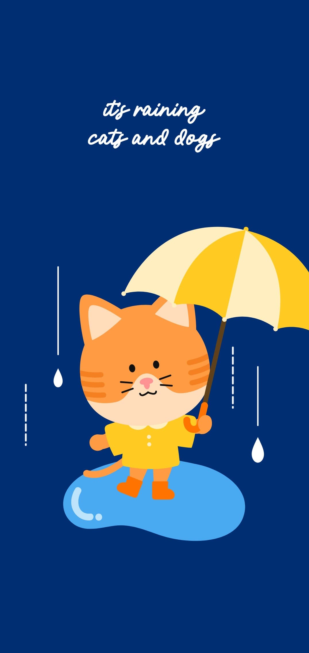 비오는 날 고양이 배경화면