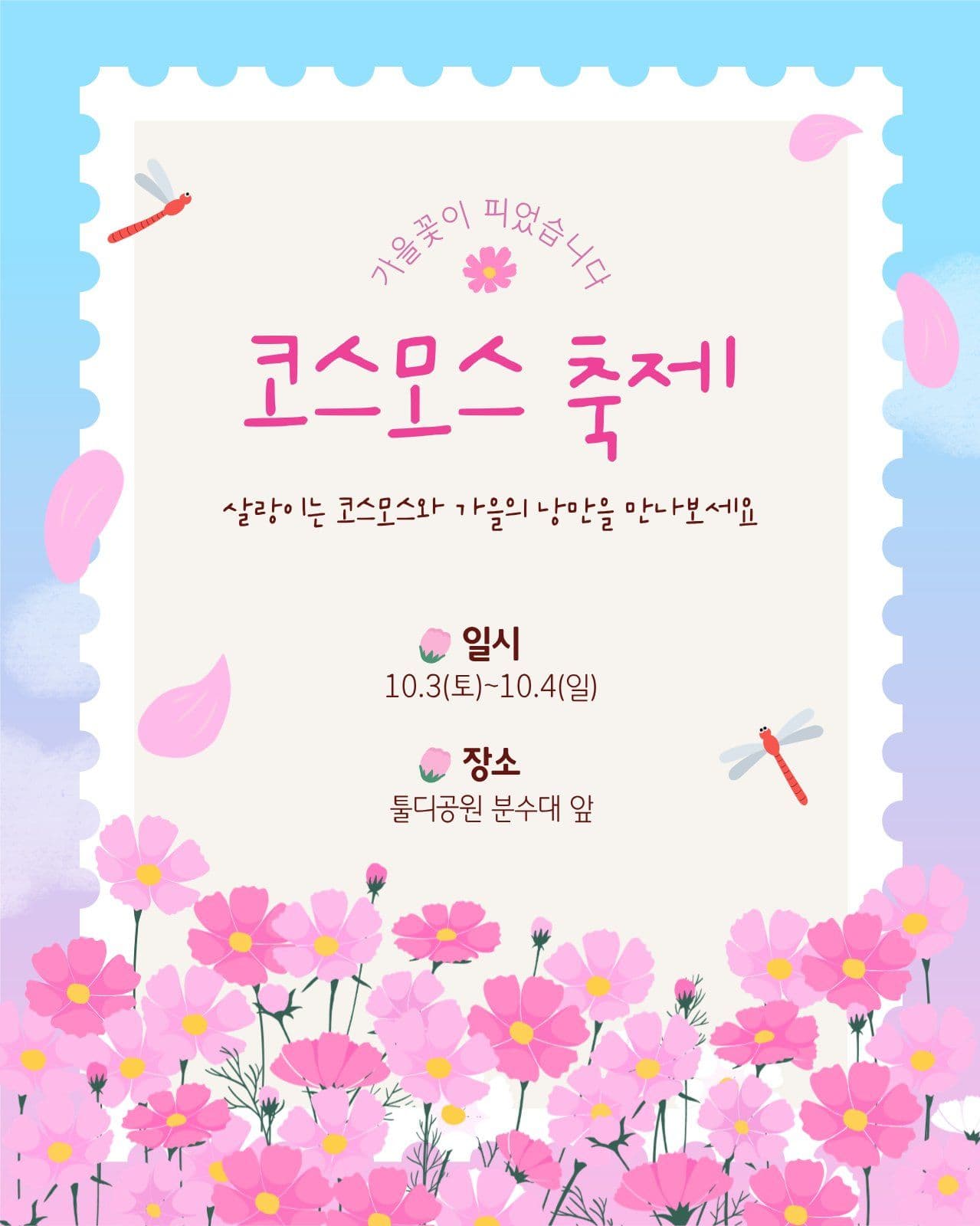 코스모스 축제 홍보