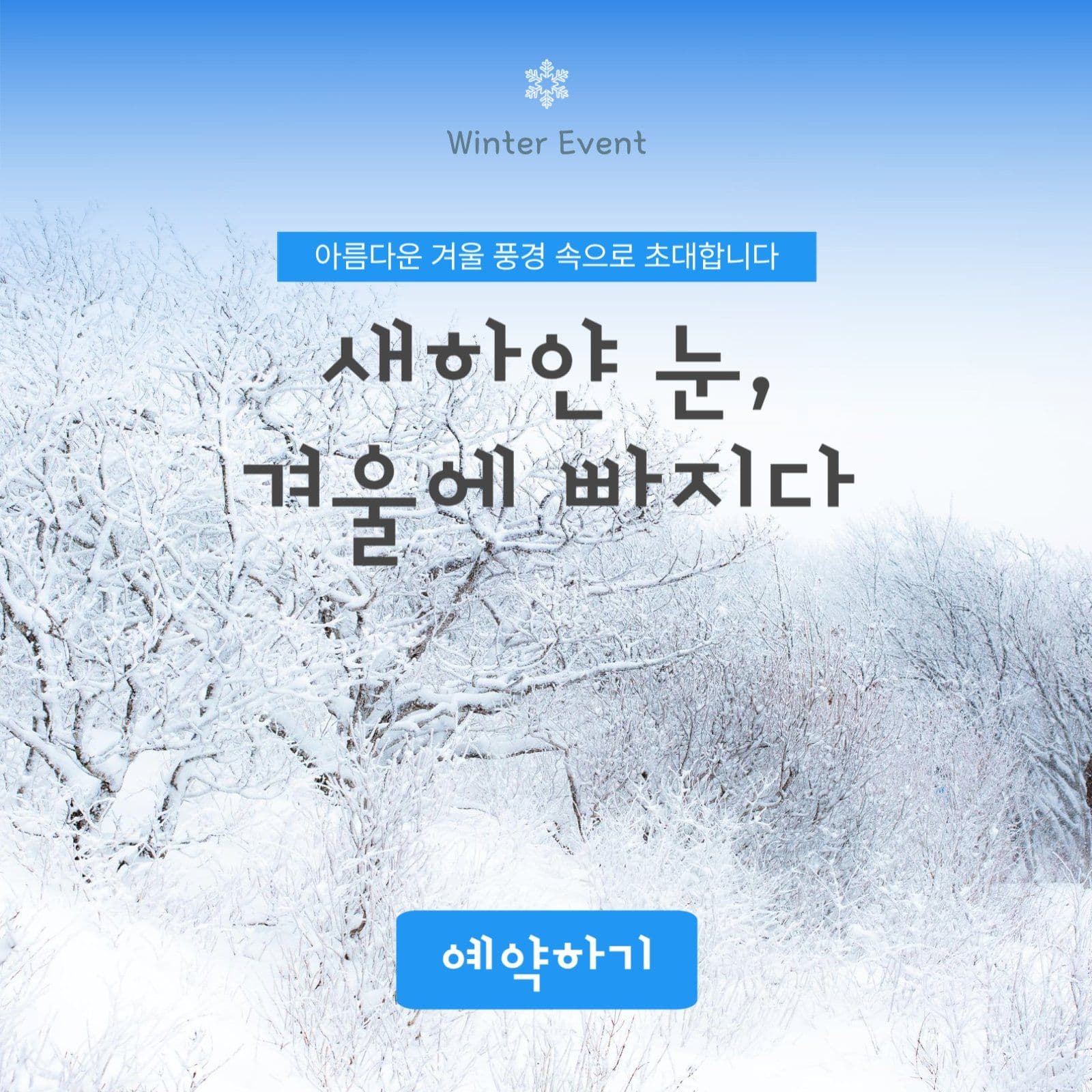 새하얀눈, 겨울에 빠지다