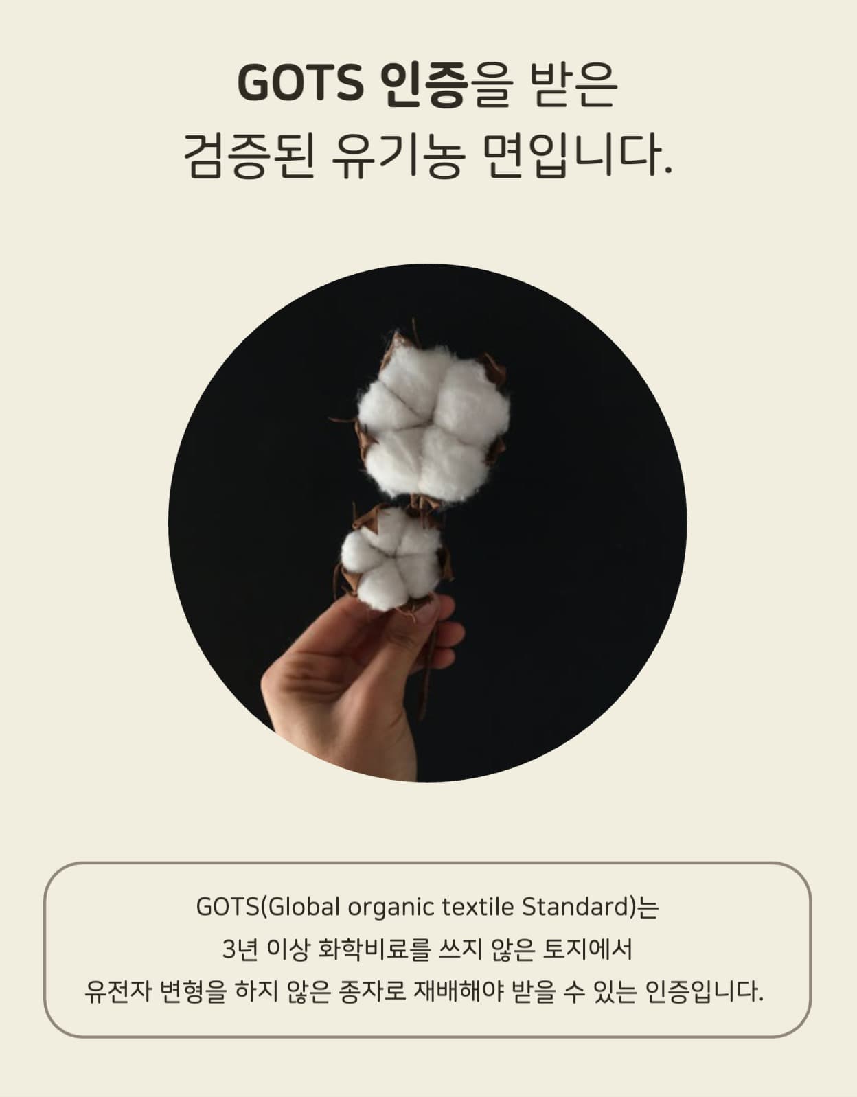 오가닉코튼 양말 상세페이지