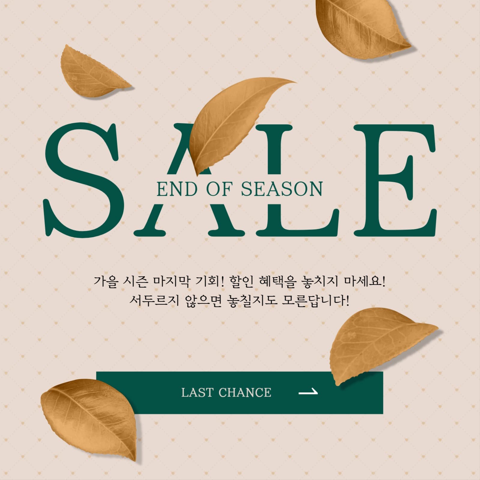가을시즌세일