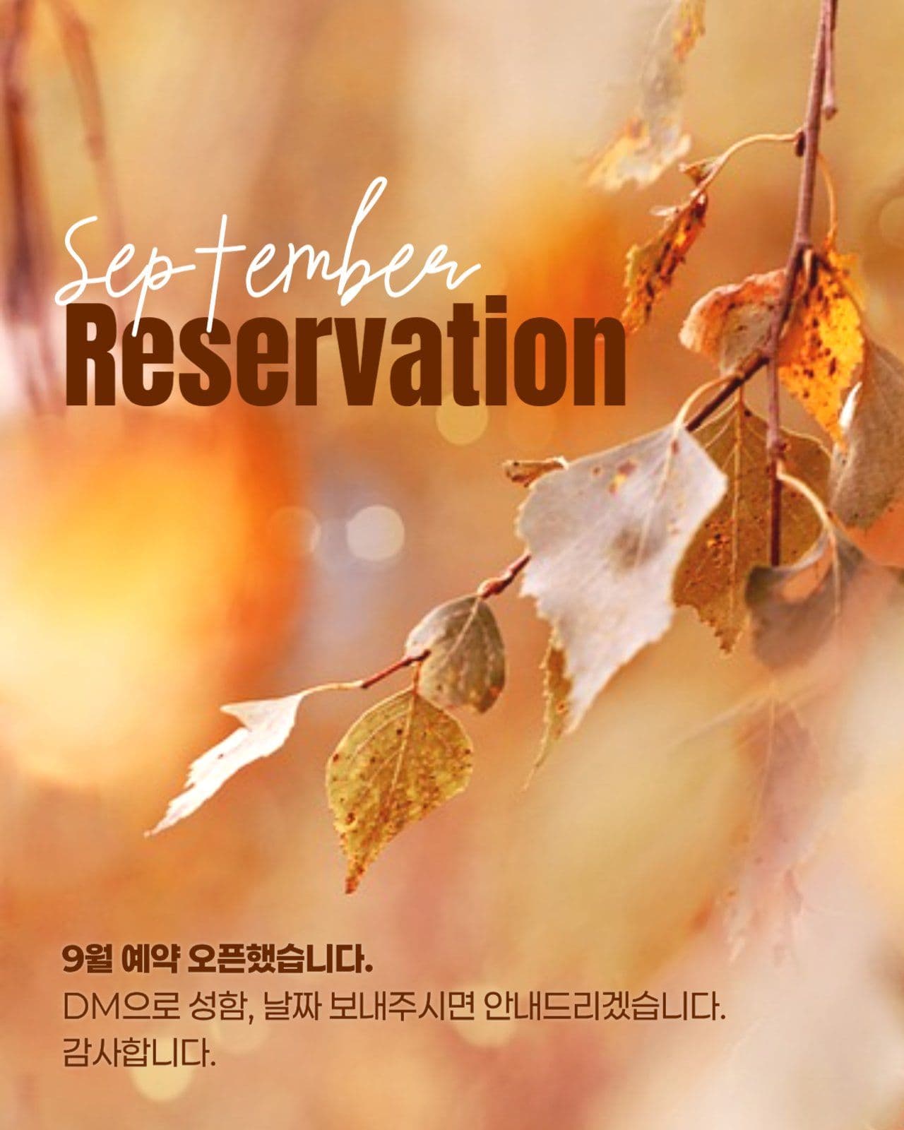 9월 예약 안내 게시물
