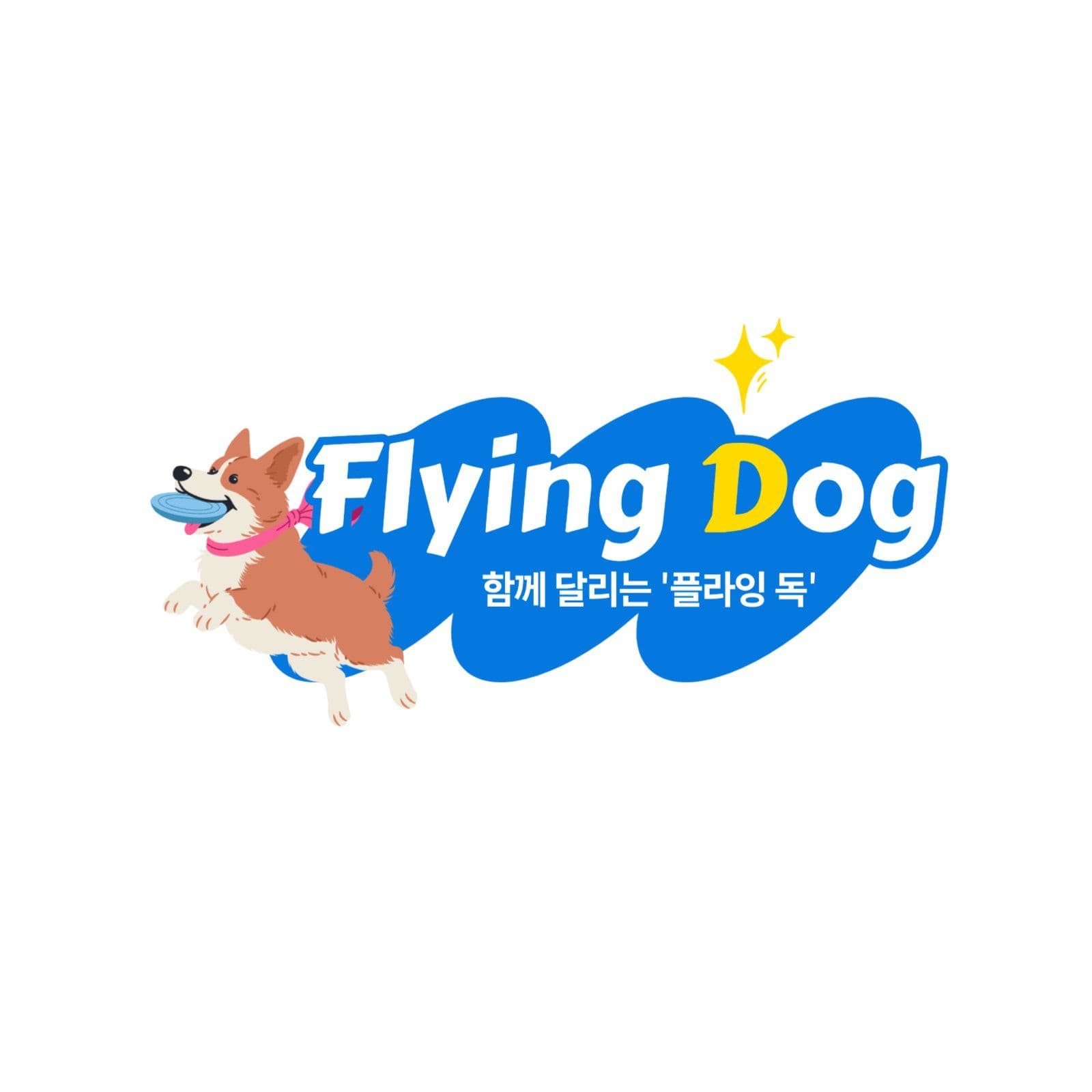 어질리티 애견학원