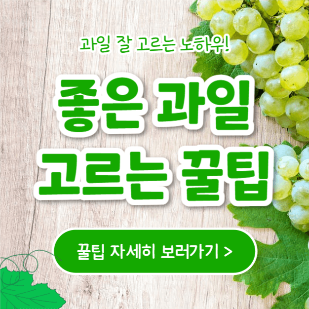 좋은 과일 고르는 꿀팁 (인스타)