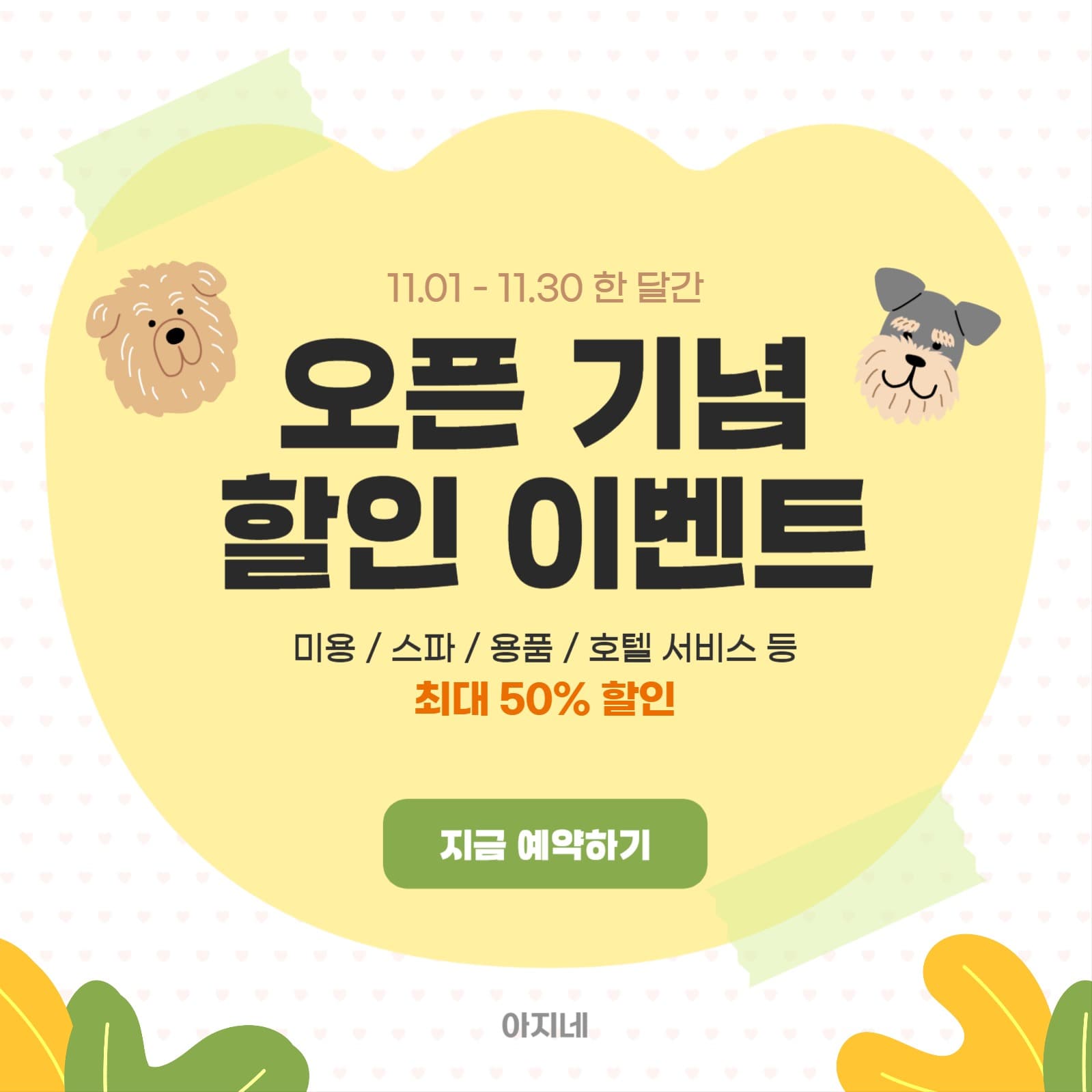 반려동물 미용 스파 호텔 오픈 이벤트