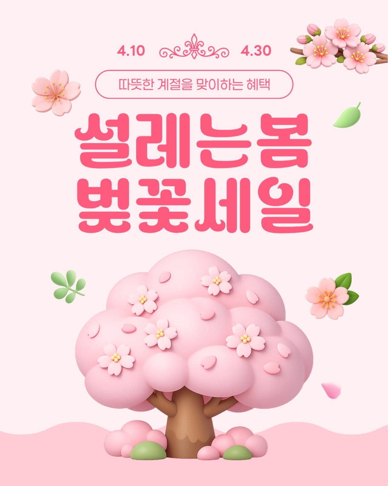 분홍색 심플 벚꽃 세일 할인 홍보
