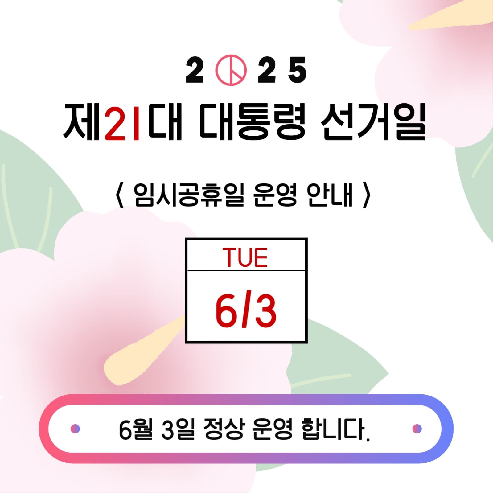 대통령 선거 운영 안내