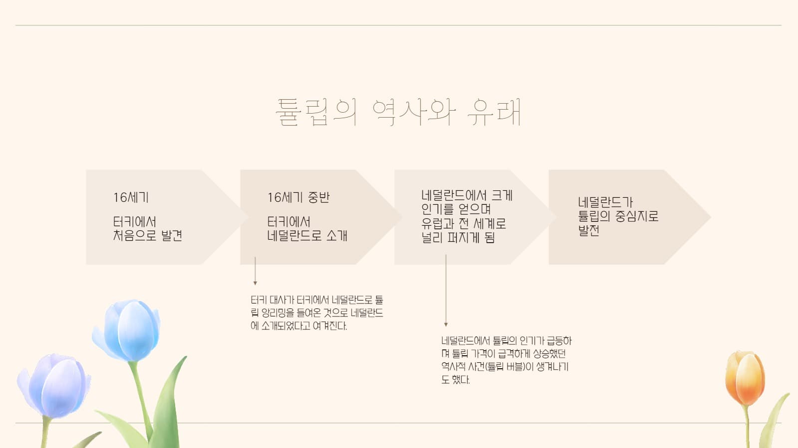 튤립 테마 프레젠테이션