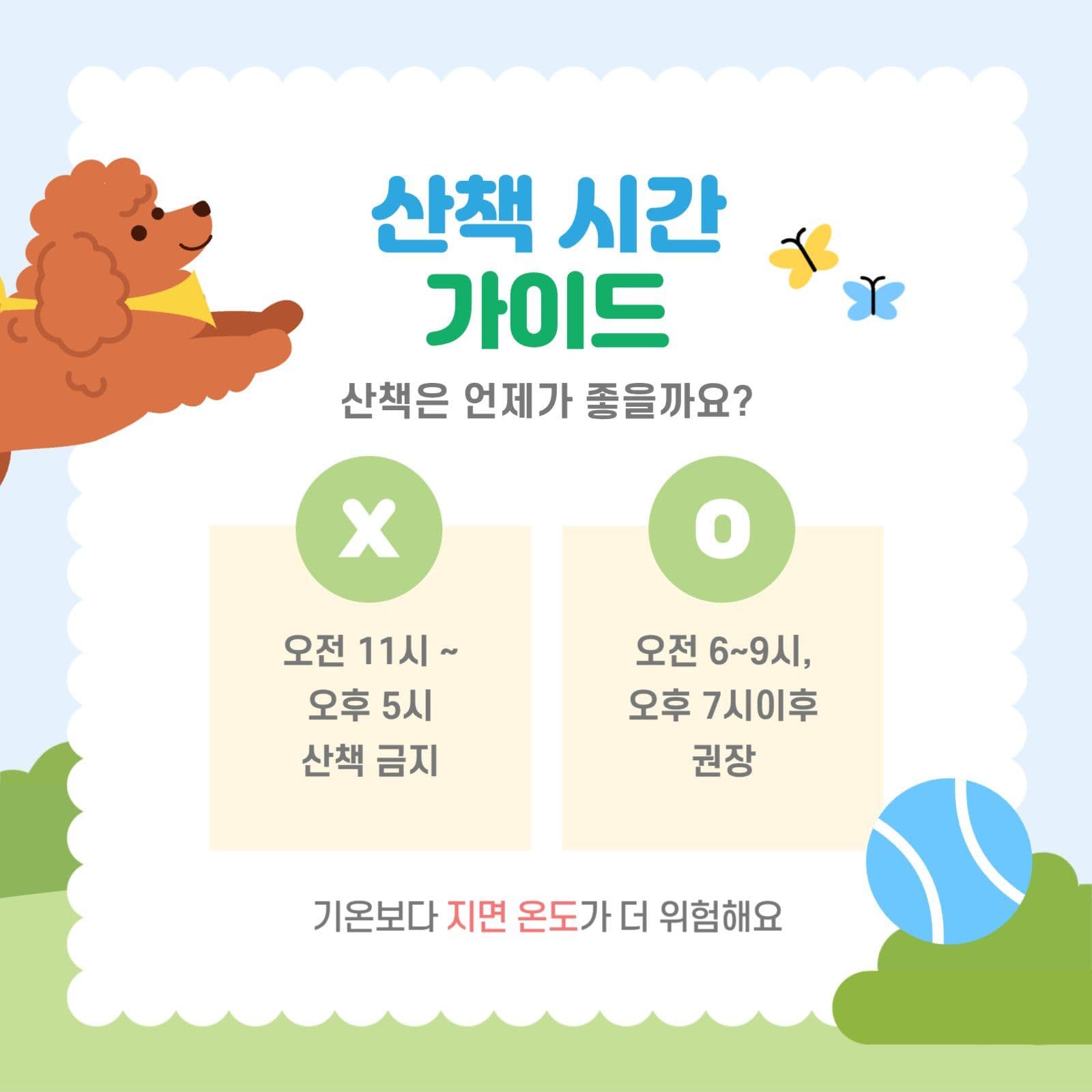 연두색 여름철 강아지 산책 안내
