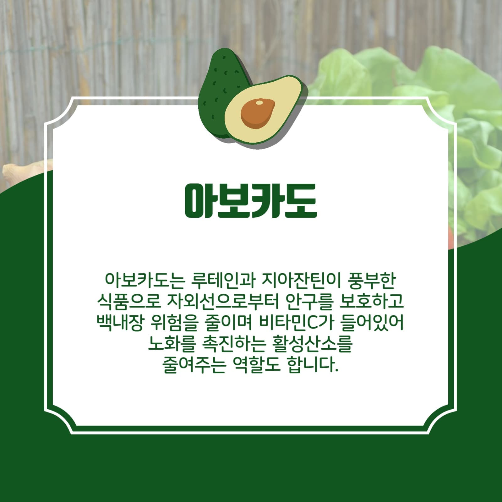 눈건강에좋은음식