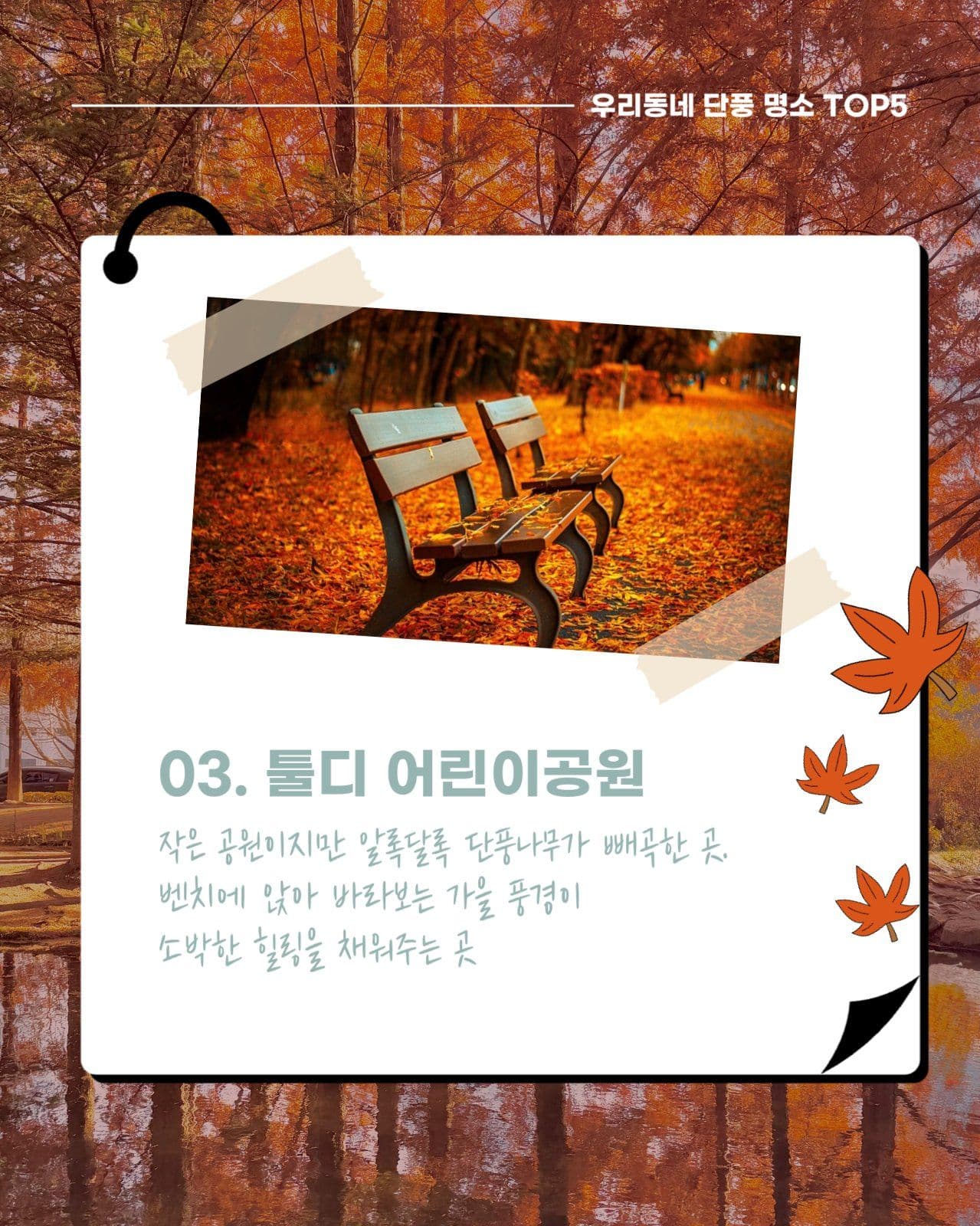 가을 단풍 명소 소개 카드뉴스