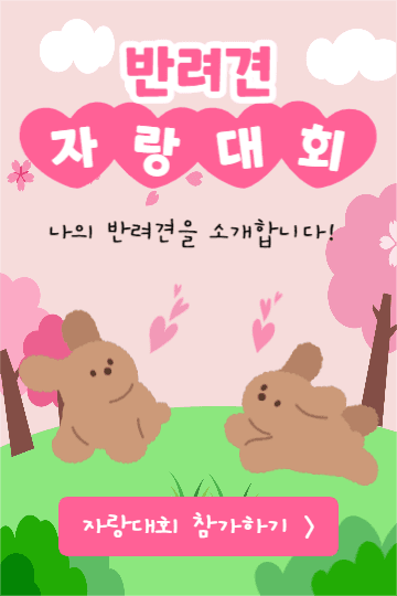 반려견 자랑대회 (페북)