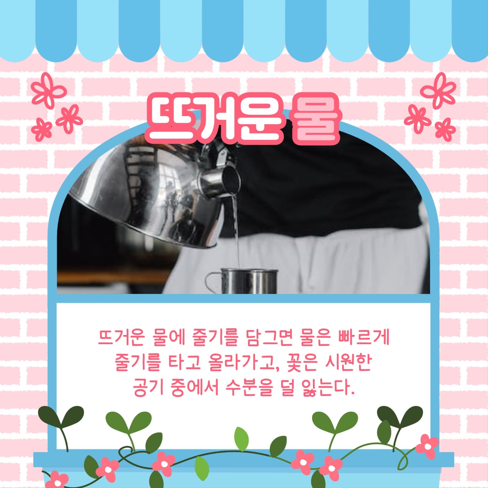 꽃 유지하는 법 카드뉴스