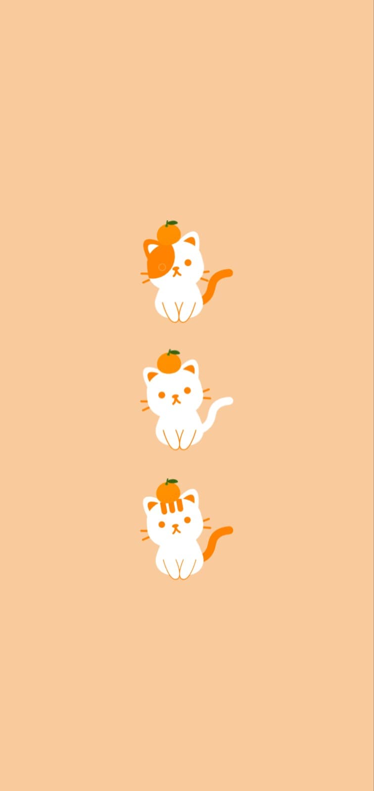 귤고양이 배경화면