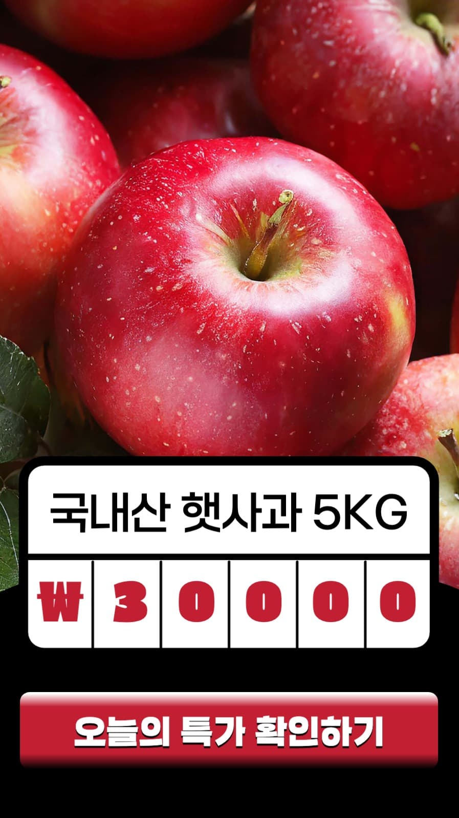 오늘의 특가 인스타그램