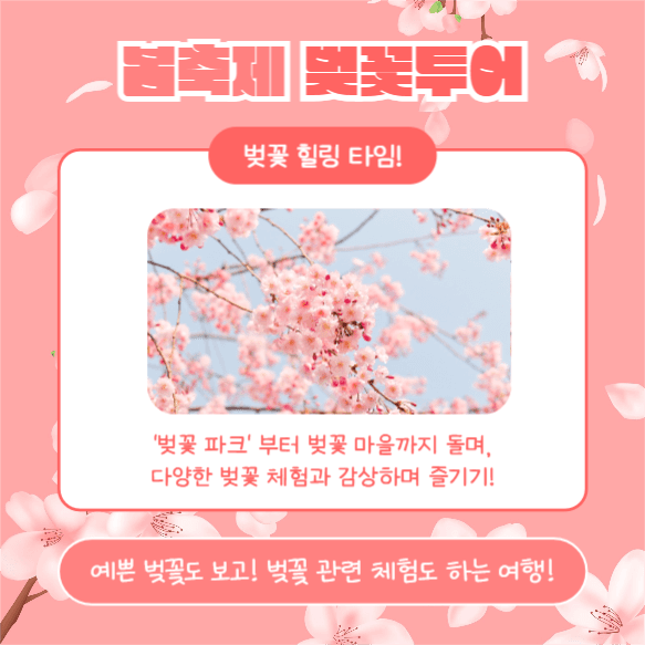 봄축제 벚꽃투어 (카드뉴스)