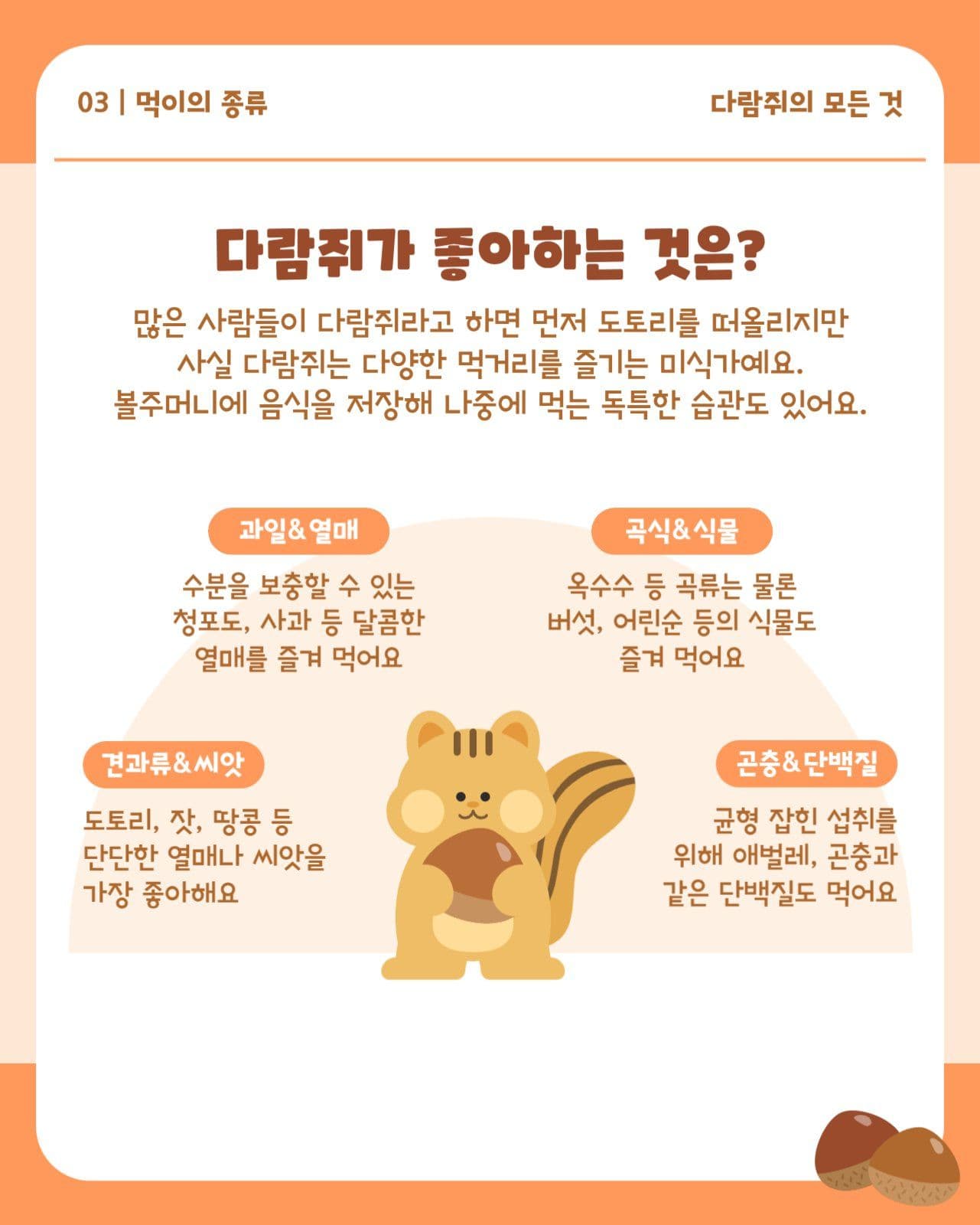 다람쥐 가을 동물 정보 카드뉴스
