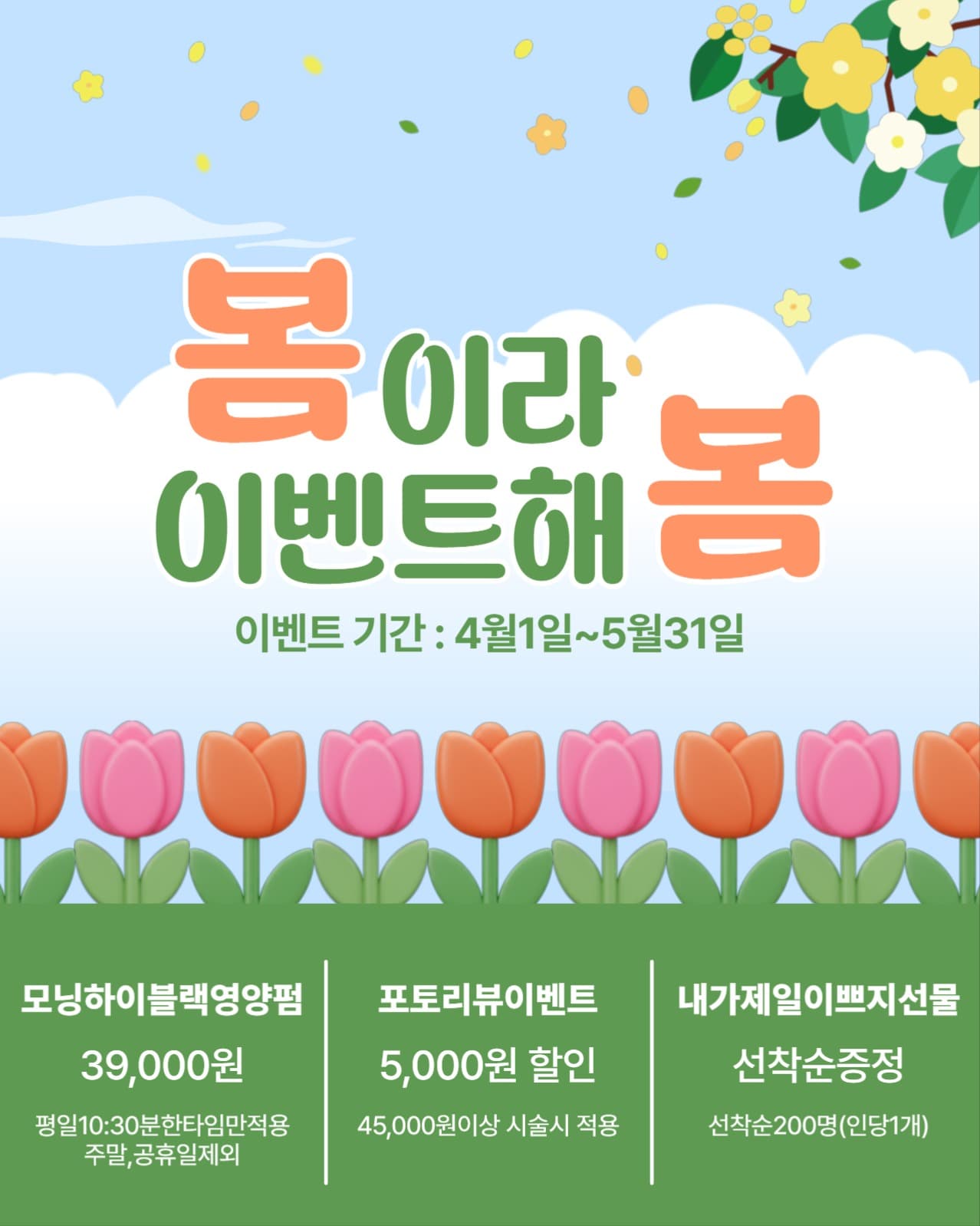 봄 이벤트