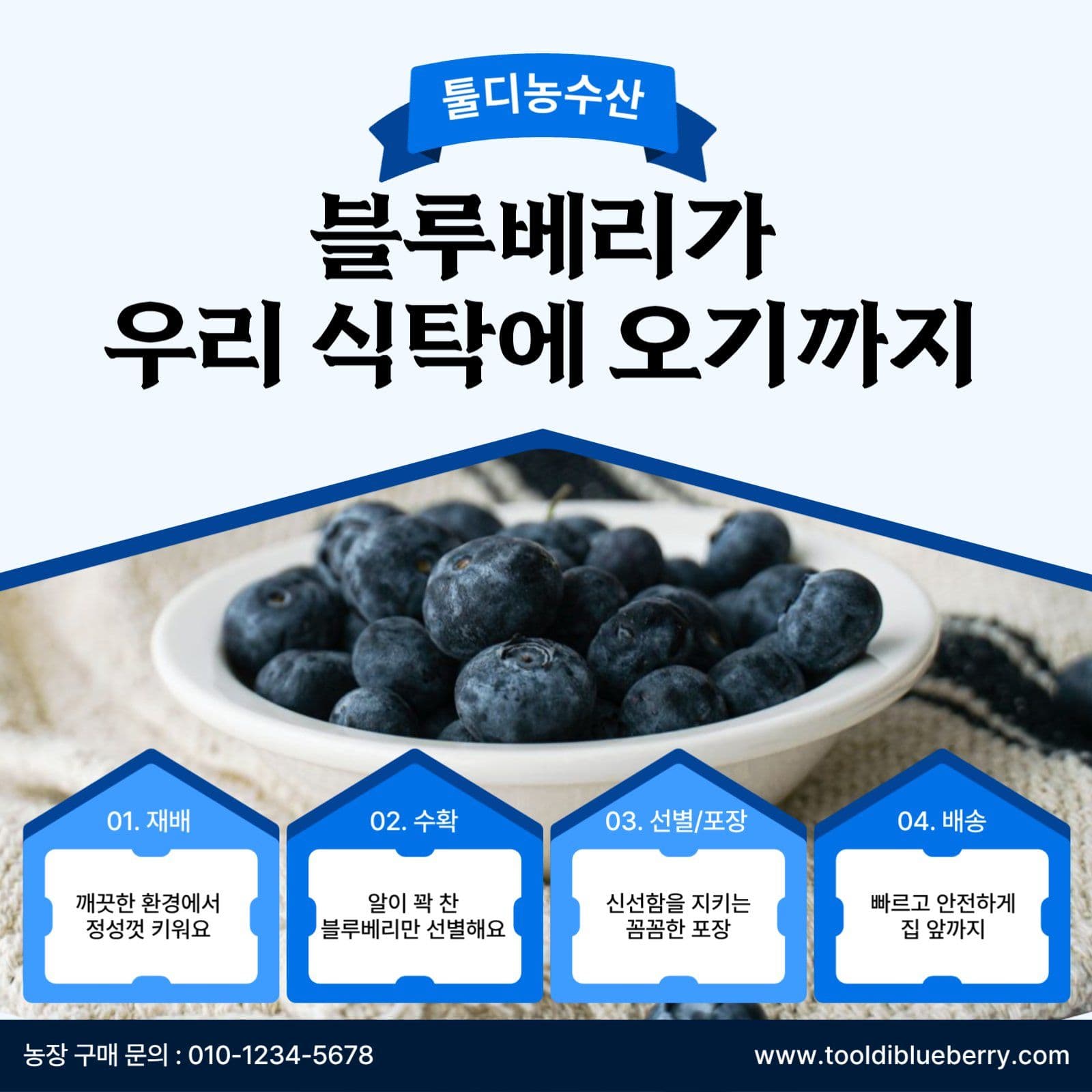 블루베리 직배송 쇼핑몰