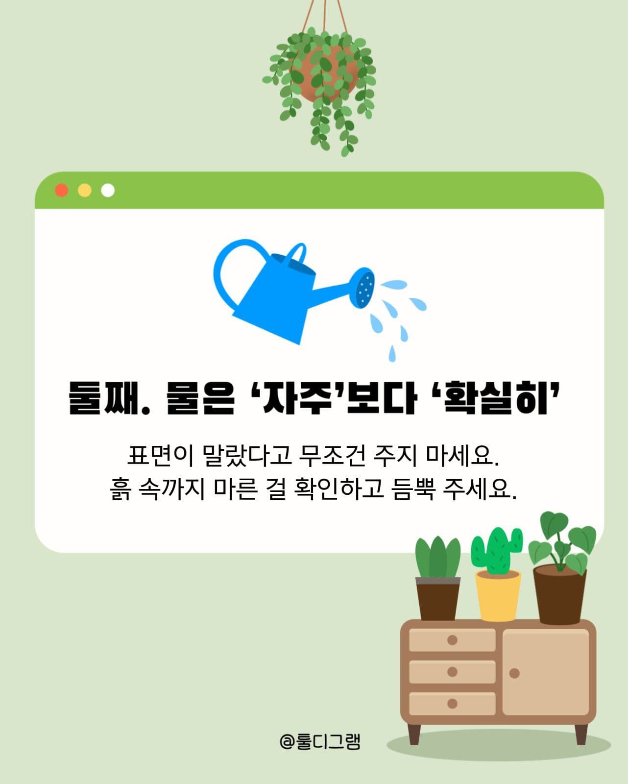 식물관리방법