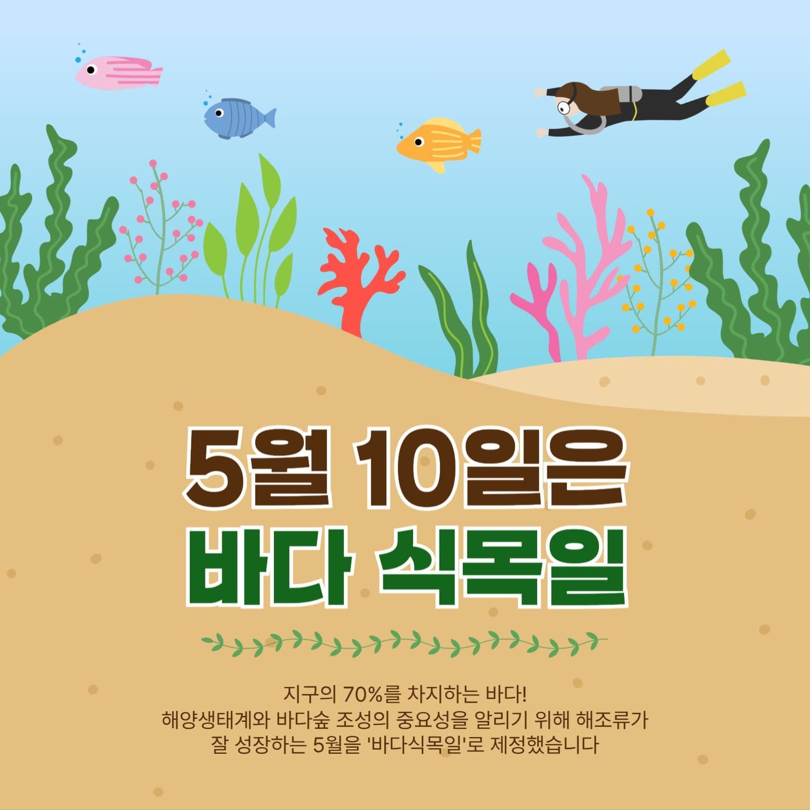 5월10일은바다식목일
