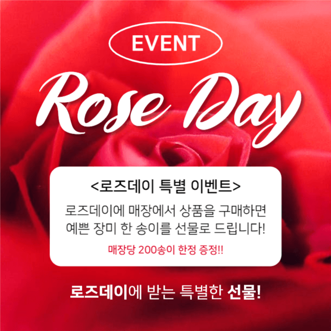Rose Day (인스타)