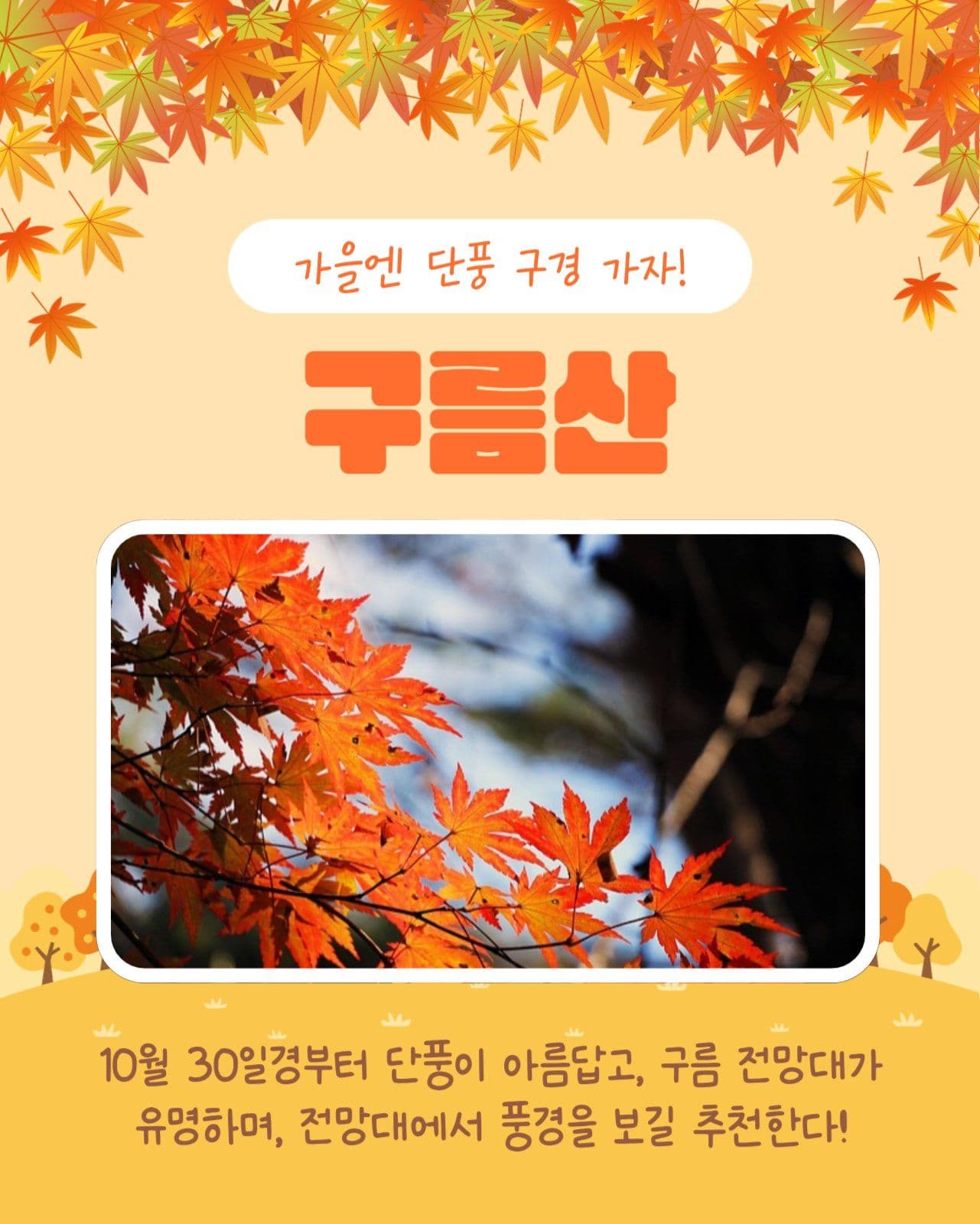 단풍명소 알아보기 카드뉴스