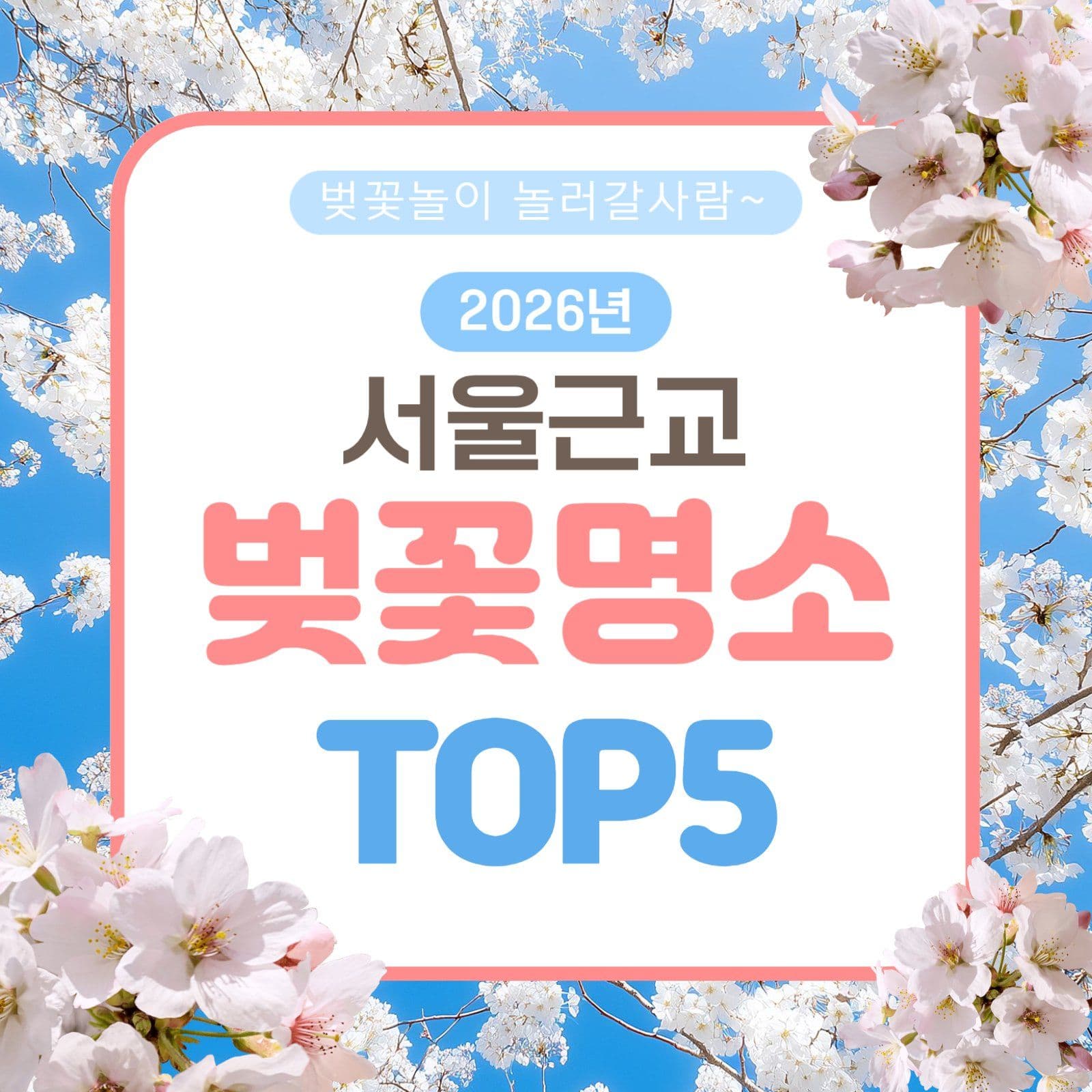 벚꽃놀이 명소 썸네일