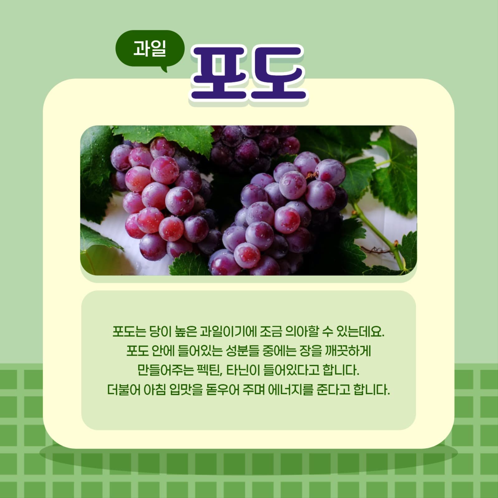 아침에 먹은 과일 야채