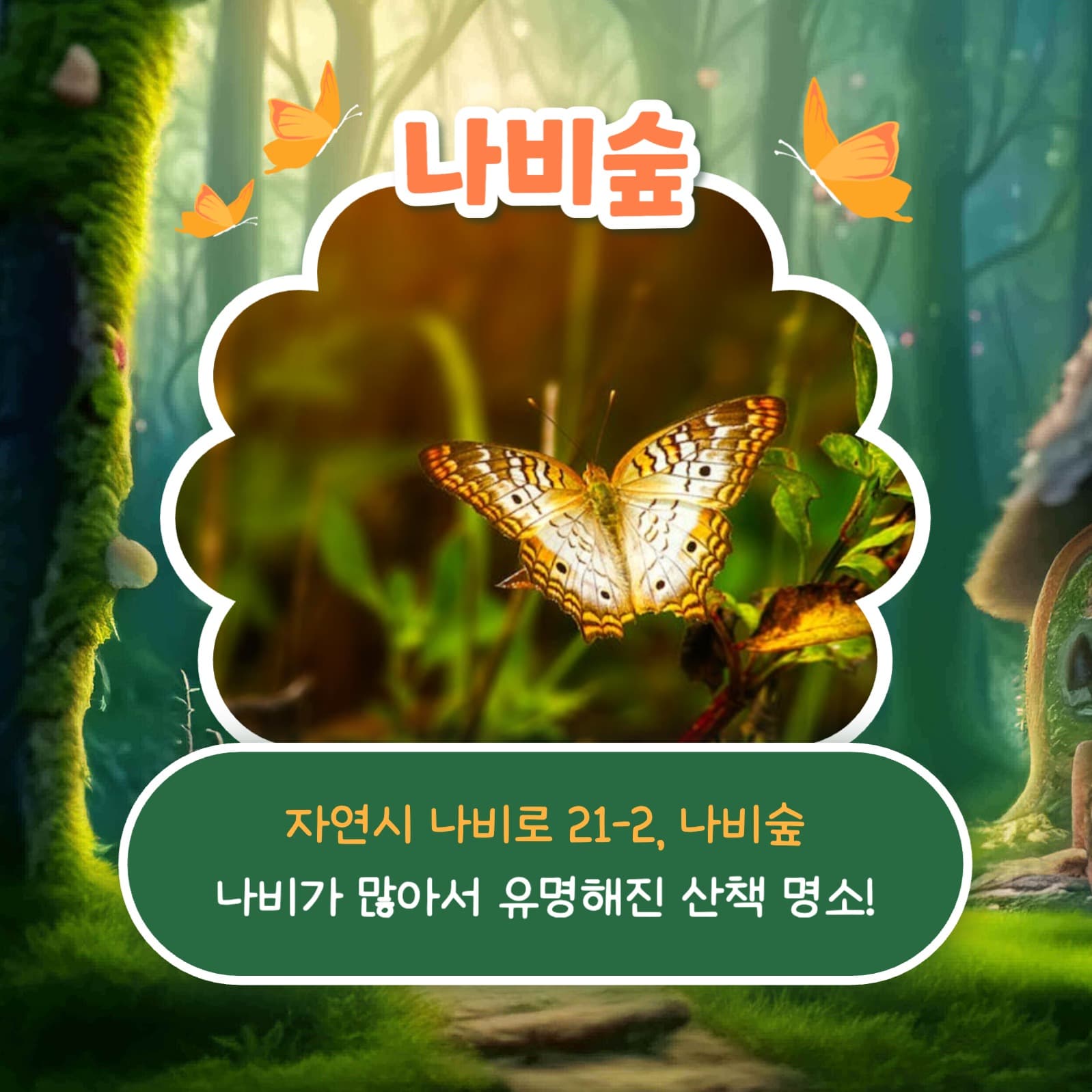 숲 추천 리스트 카드뉴스