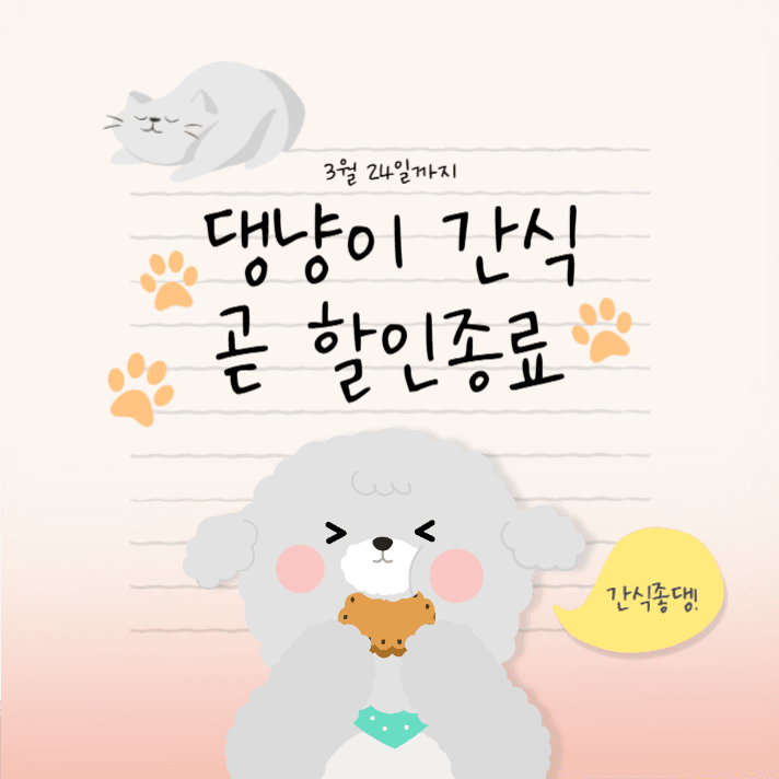 반려동물 펫 간식 할인