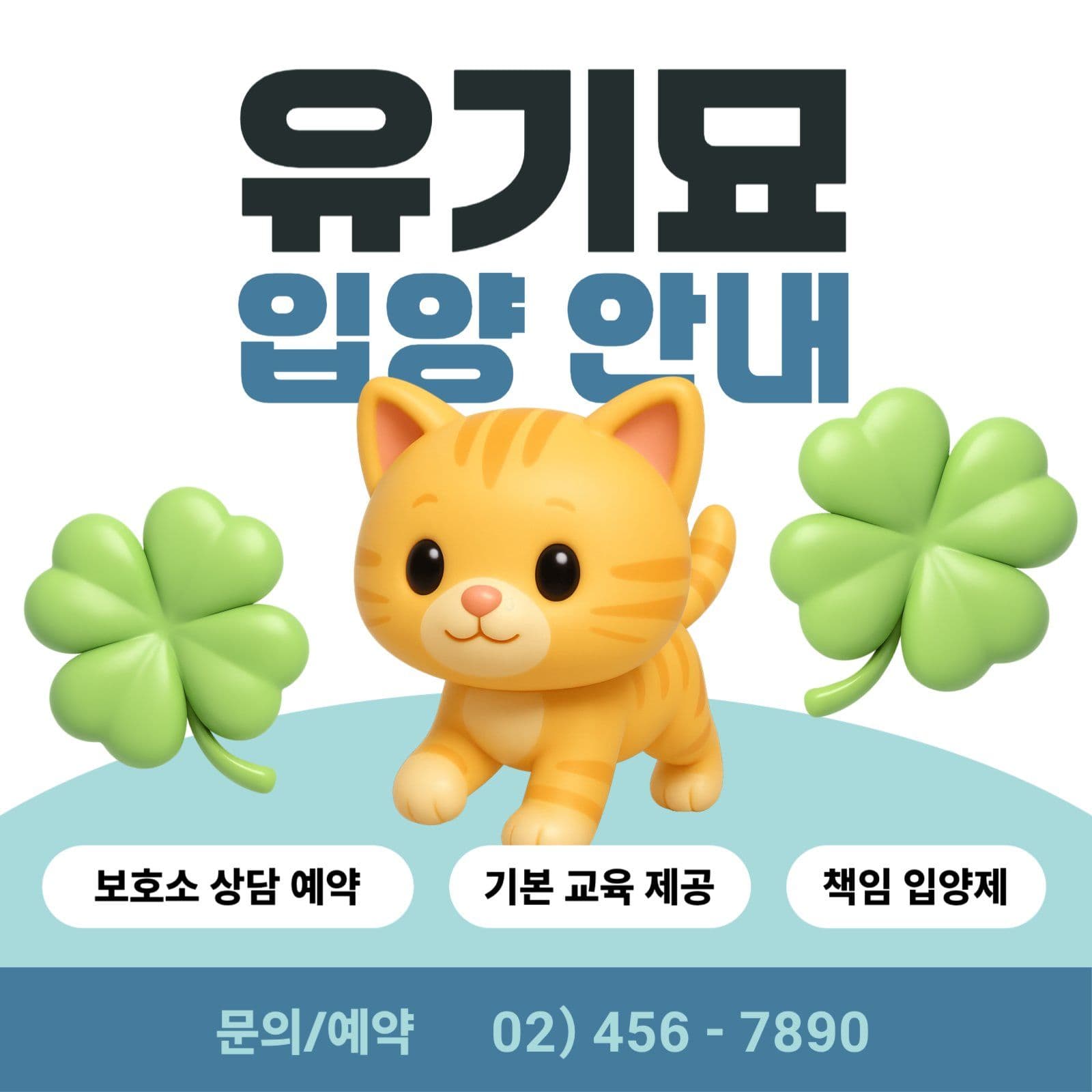 유기묘 입양 안내