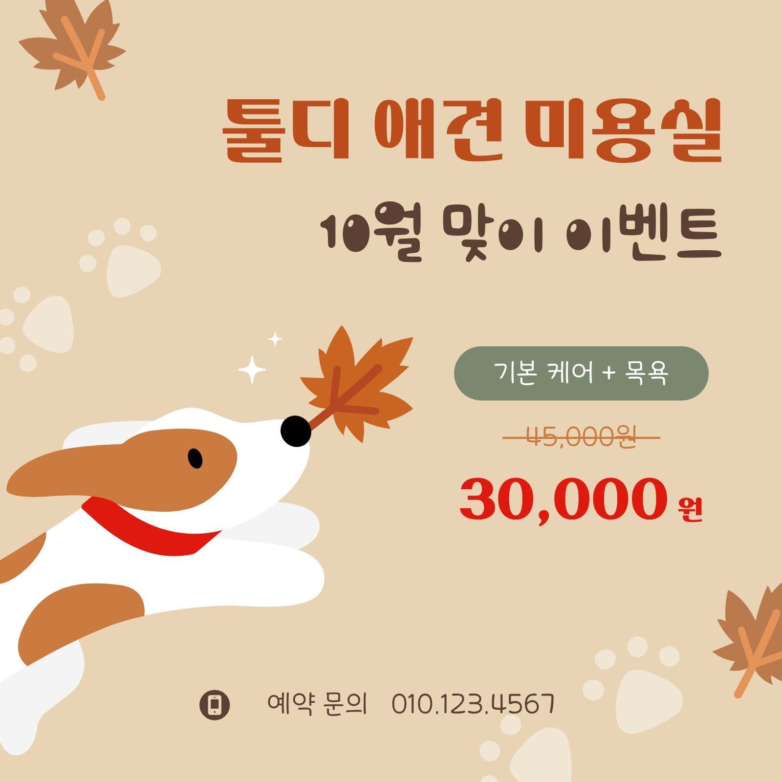 애견 미용실 가을 할인 이벤트