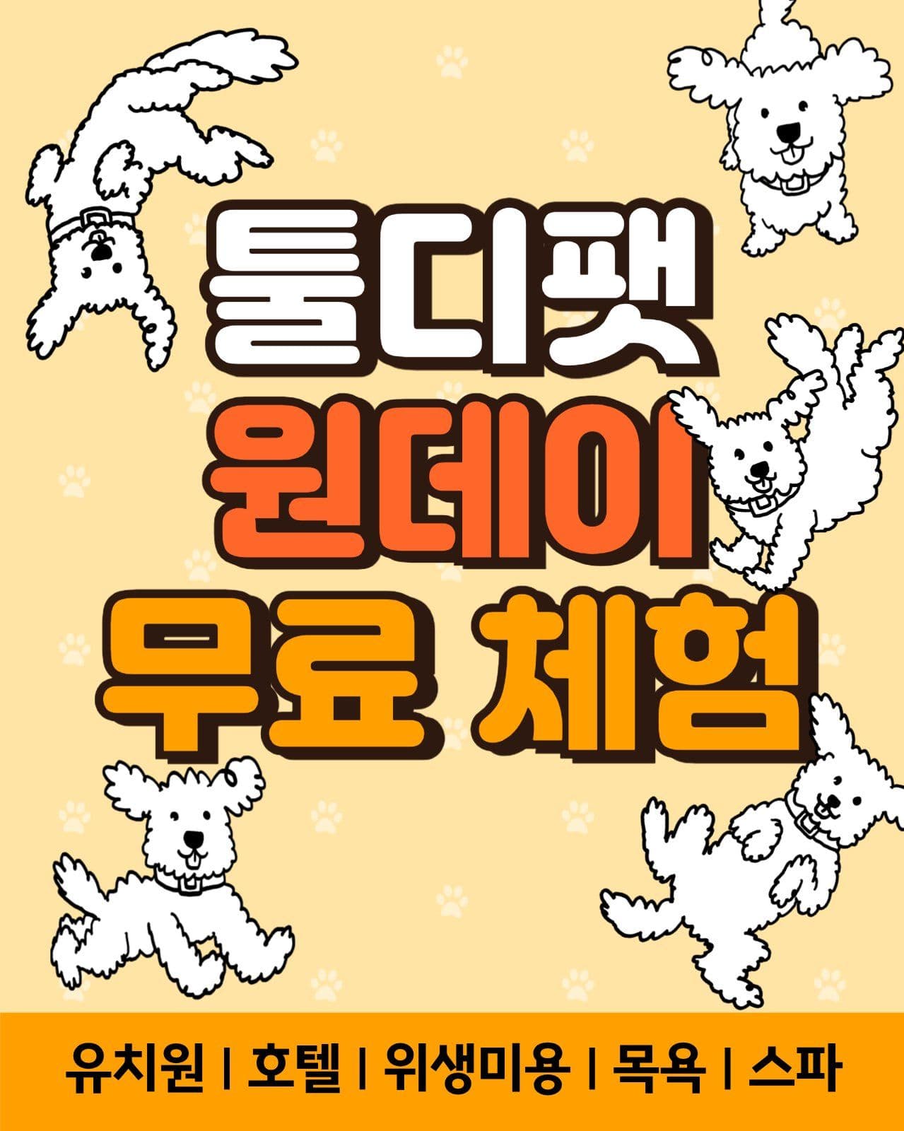 애견 유치원 일일 무료체험