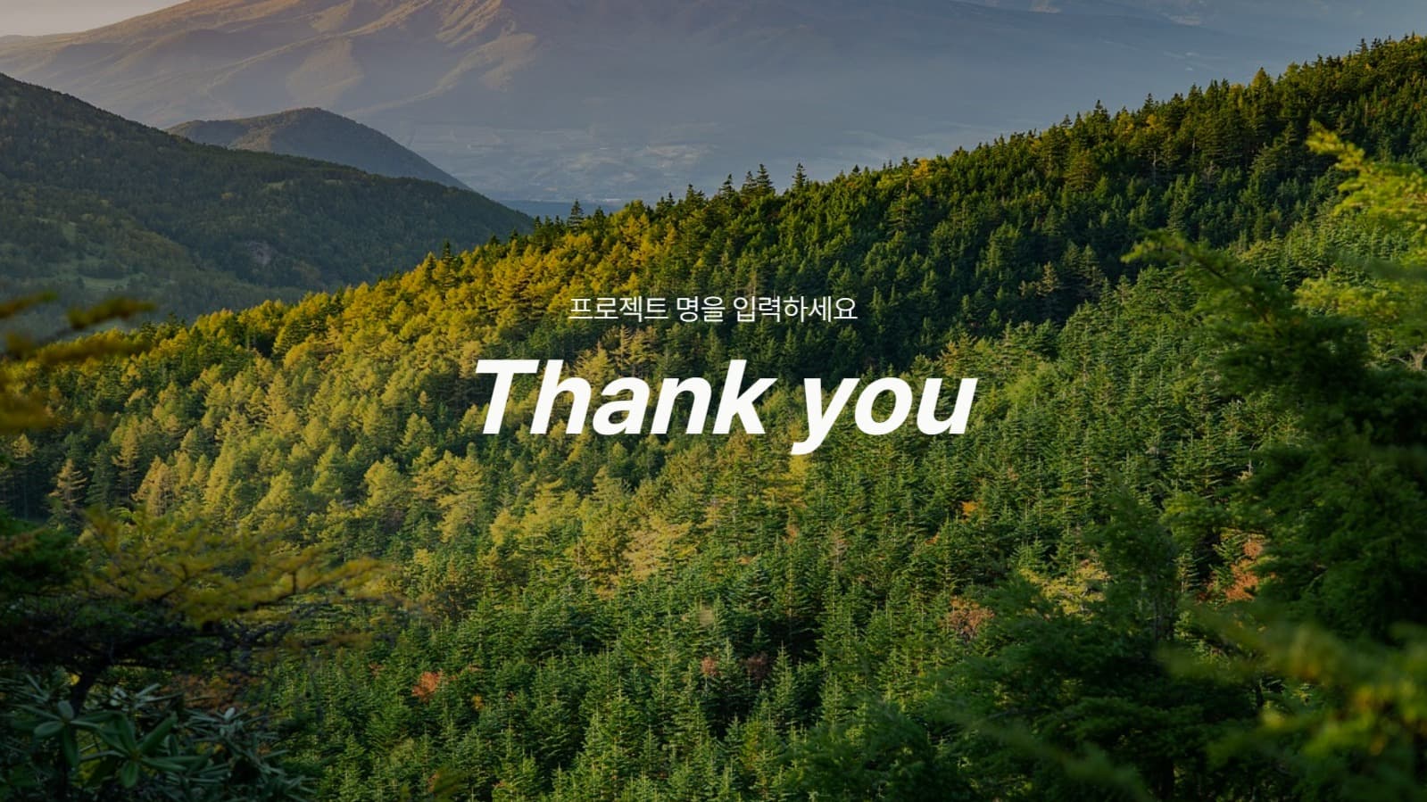 활용도가 높은 숲 PPT 템플릿