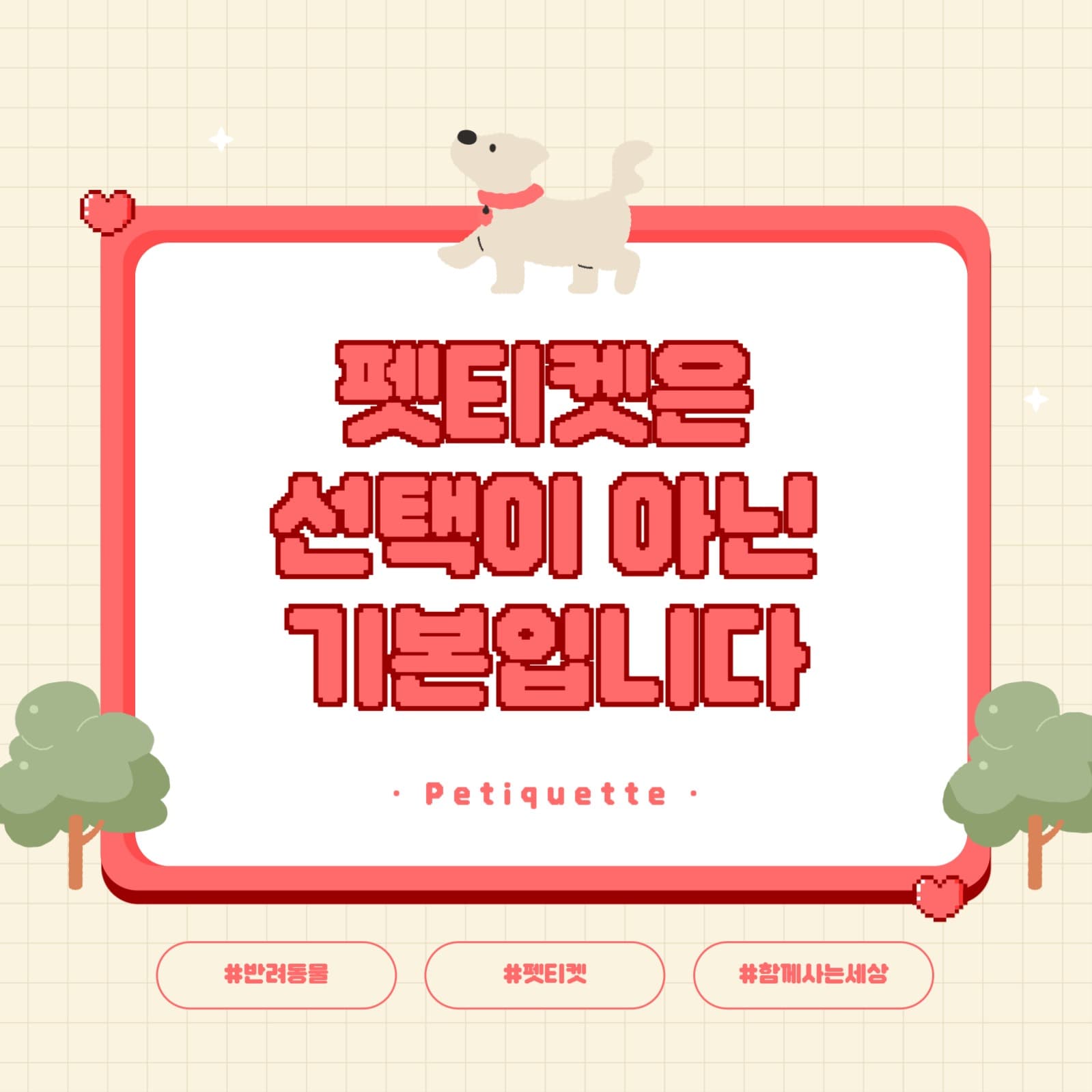 펫티켓 카드뉴스