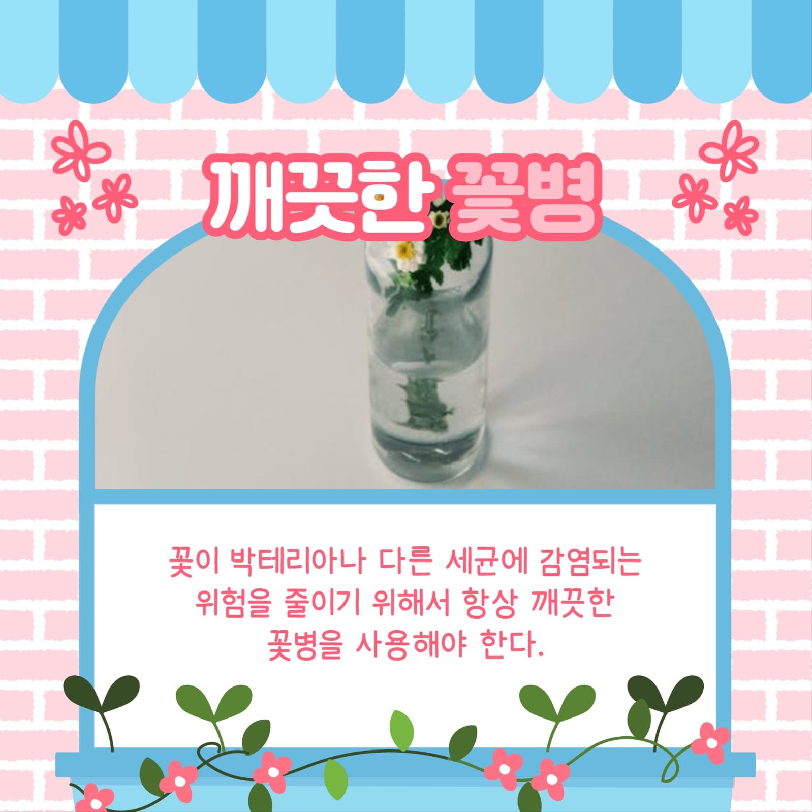 꽃 유지하는 법 카드뉴스