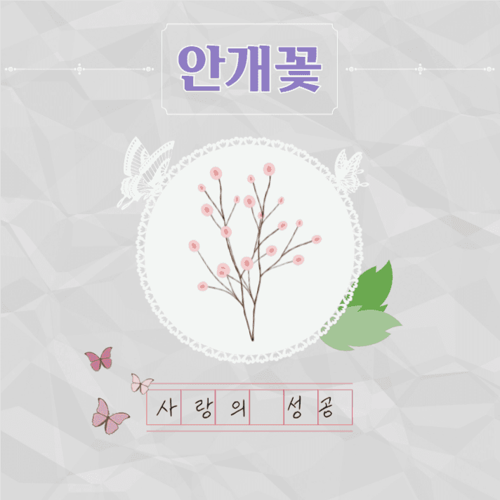 예쁜꽃말추천