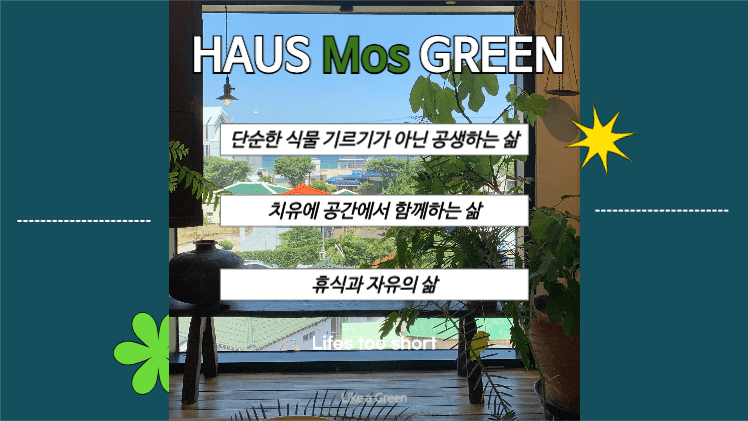 플랜테리어 인테리어 브랜딩 제안