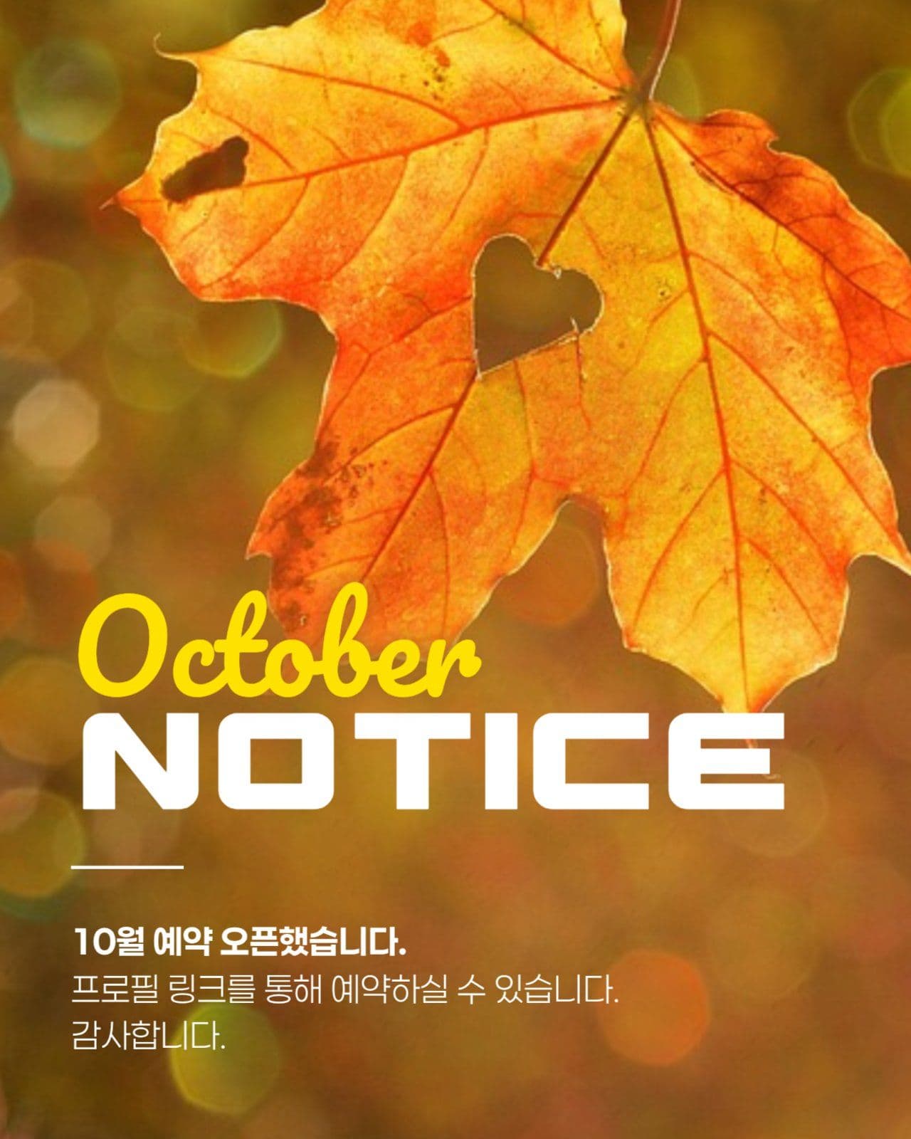 10월 예약 공지 게시물
