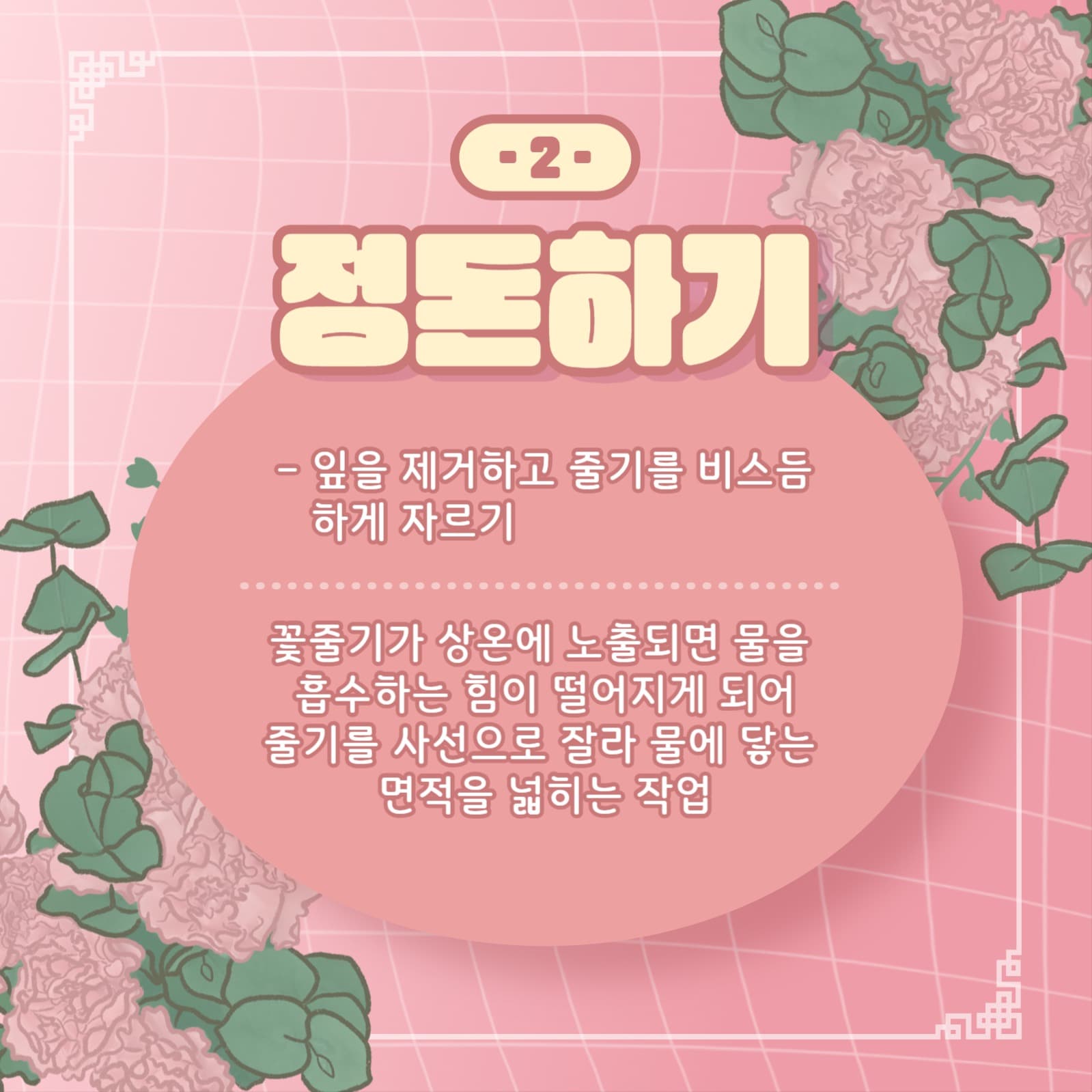 꽃 보관 방법